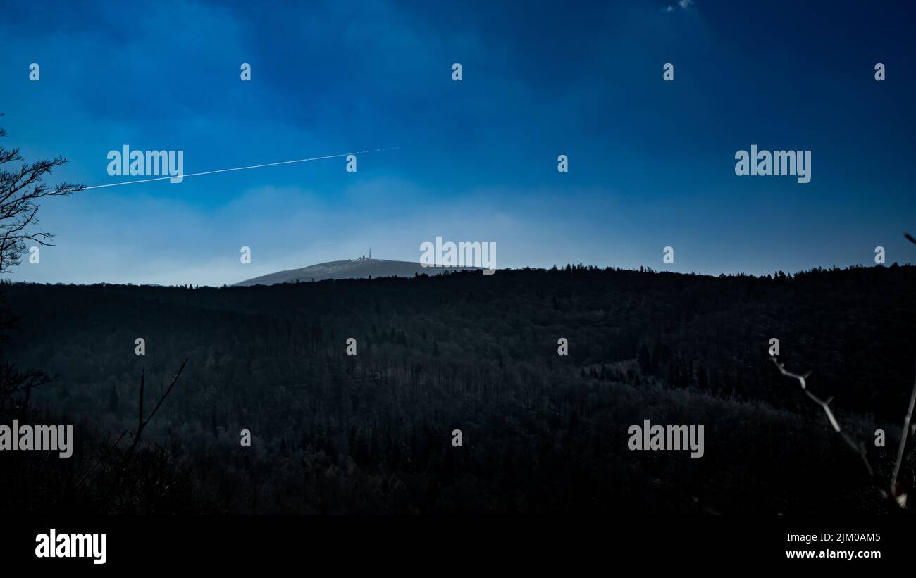 The view of the forest against the background of beautiful blue sky ...