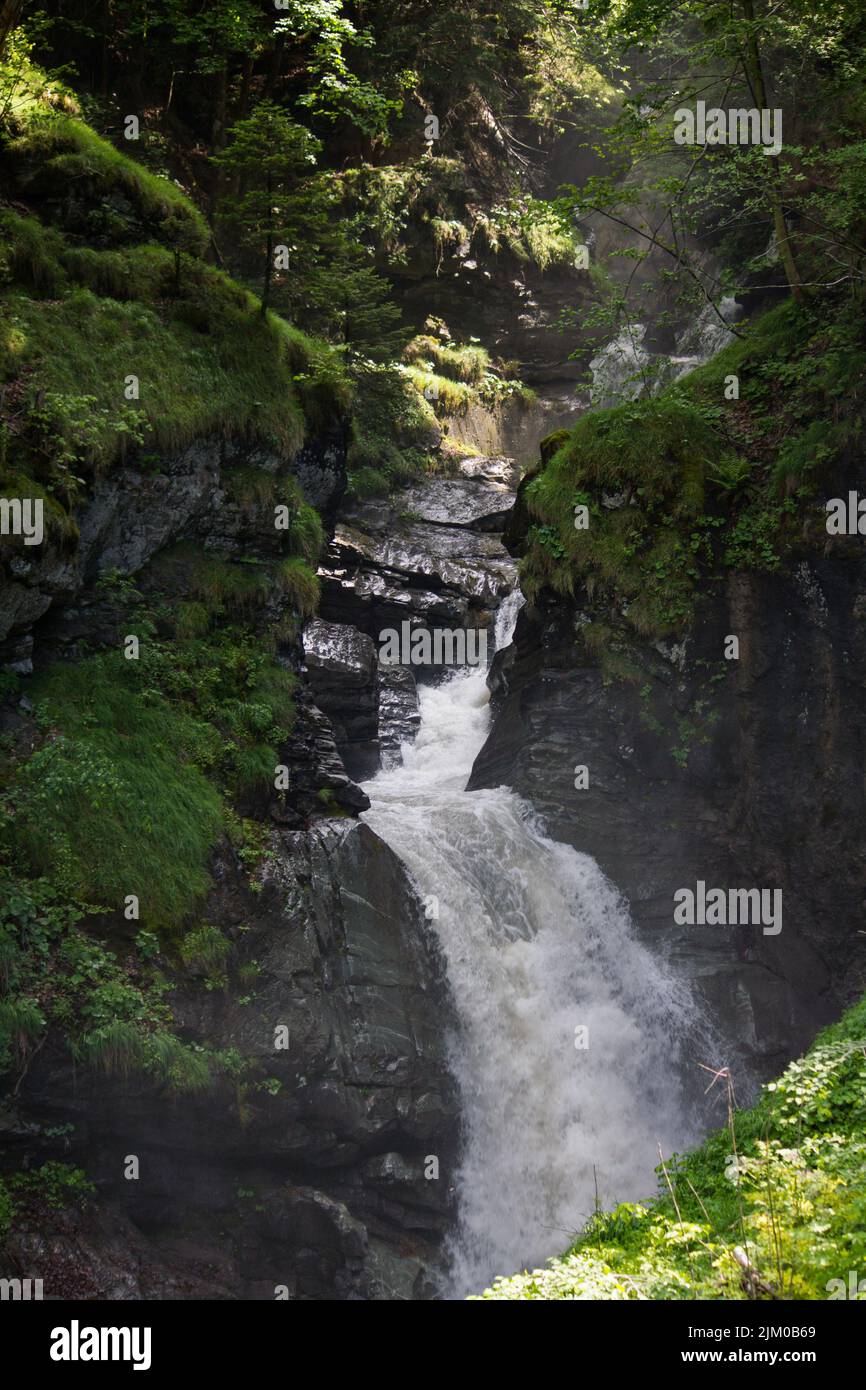 The vertical shot of a mountain forest waterfall Stock Photo - Alamy