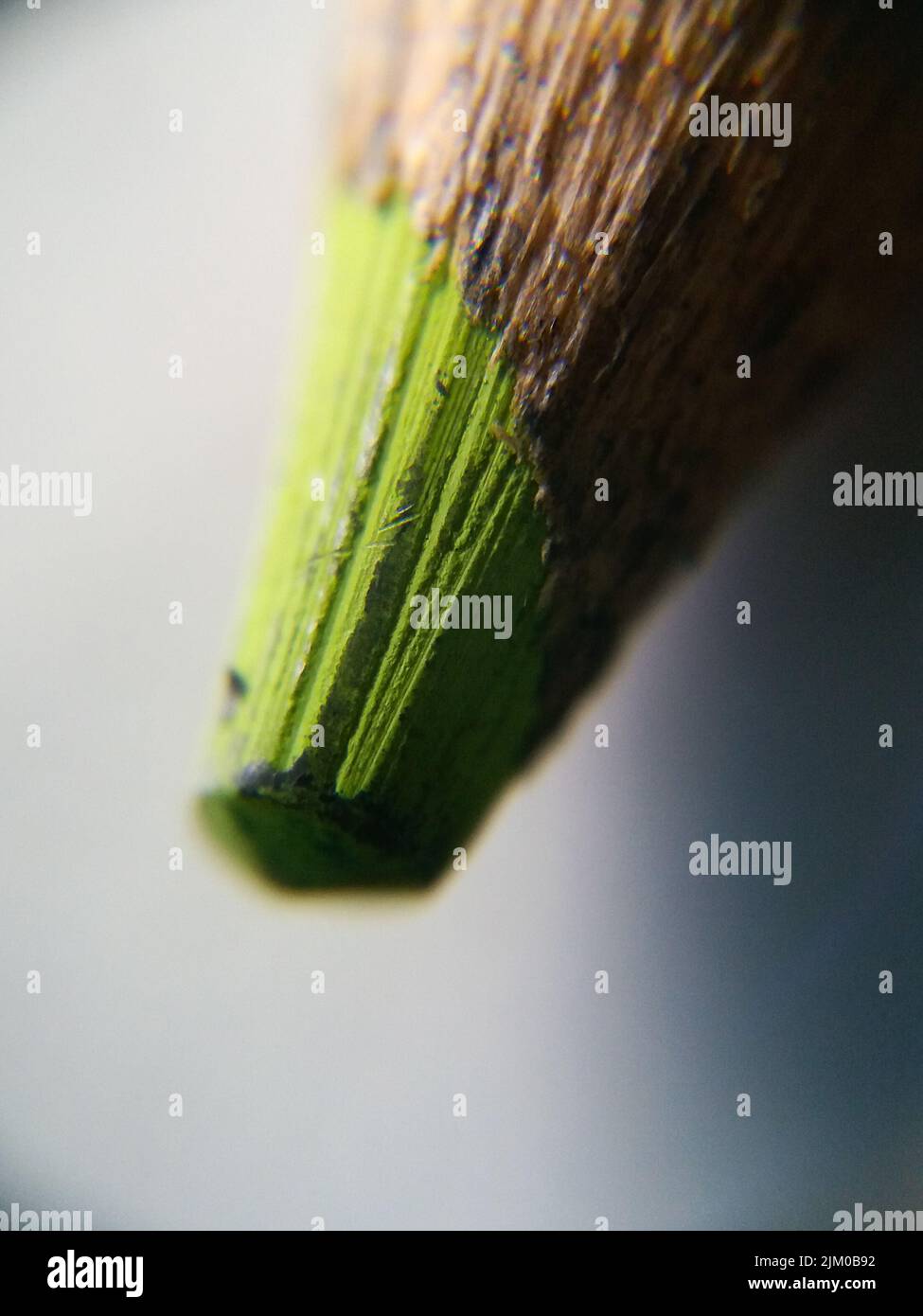 A macro shot of a green colored pencil lead Stock Photo