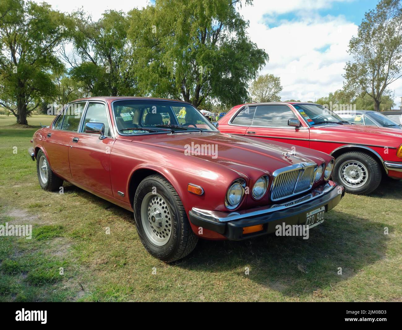 Chascomus, Argentina - Apr 9, 2022: Red maroon Jaguar XJ6 Series 3 four door saloon 1979 - 1992 parked on the grass. Nature trees in the background. C Stock Photo