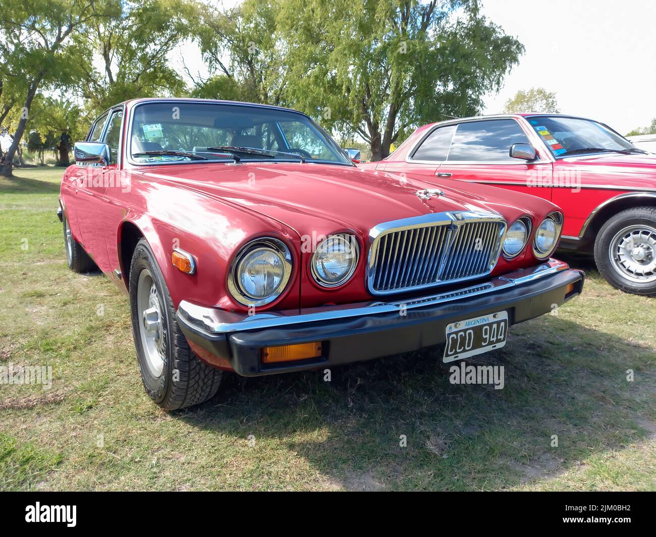 Chascomus, Argentina - Apr 9, 2022: Red maroon Jaguar XJ6 Series 3 four door saloon 1979 - 1992 parked on the grass. Nature trees in the background. C Stock Photo