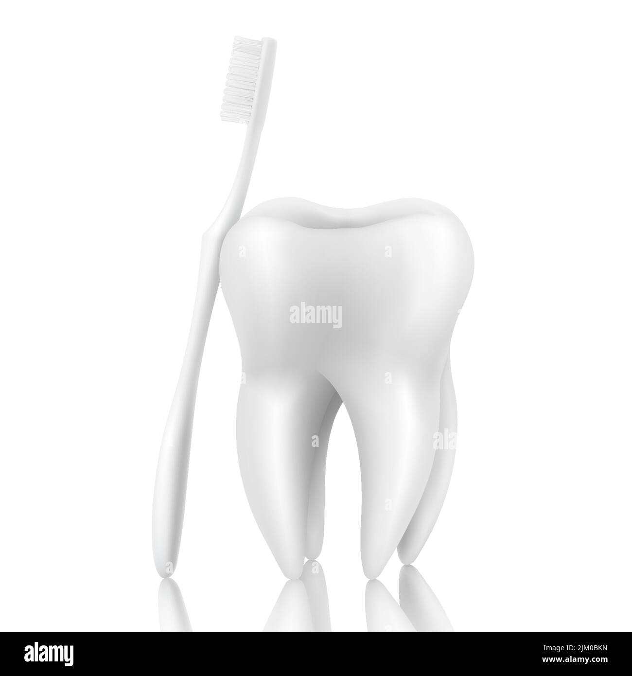 Vector 3d Realistic Toothbrush and Tooth Closeup Isolated on White ...