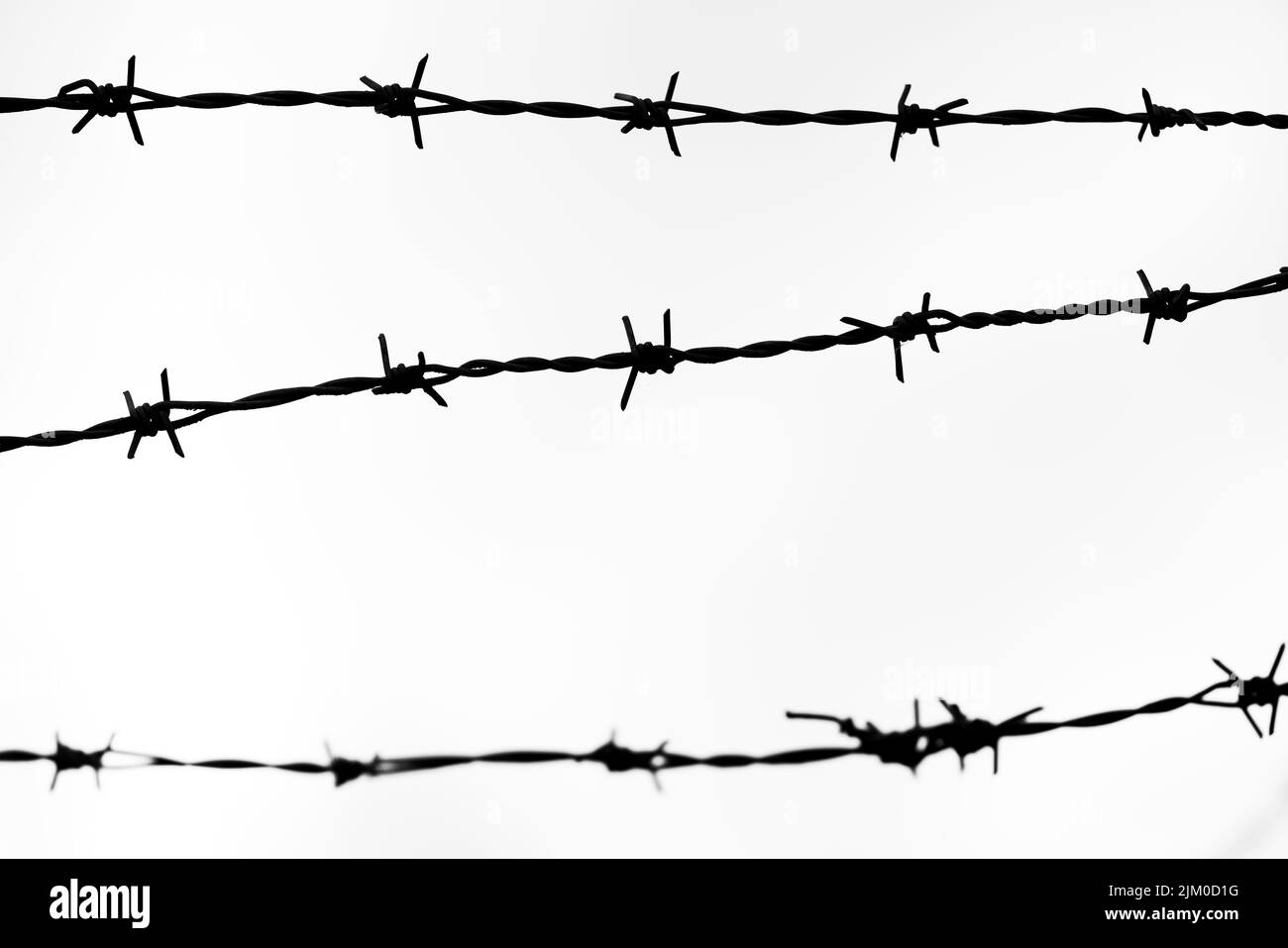 A closeup silhouette of barbed wire fence against a white background ...