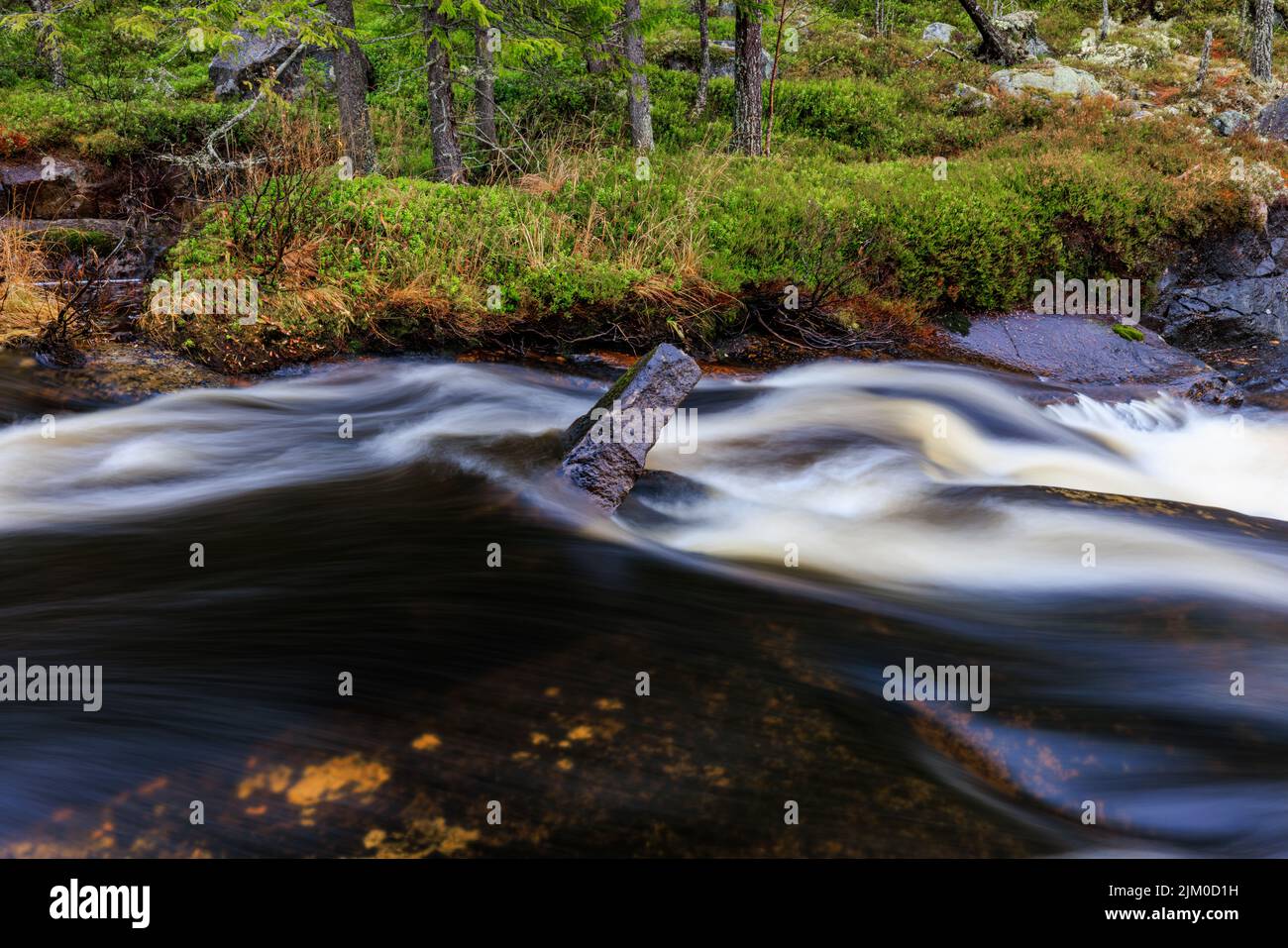 Mossy River Rocks. Moss-covered rocks in a river bed with softly