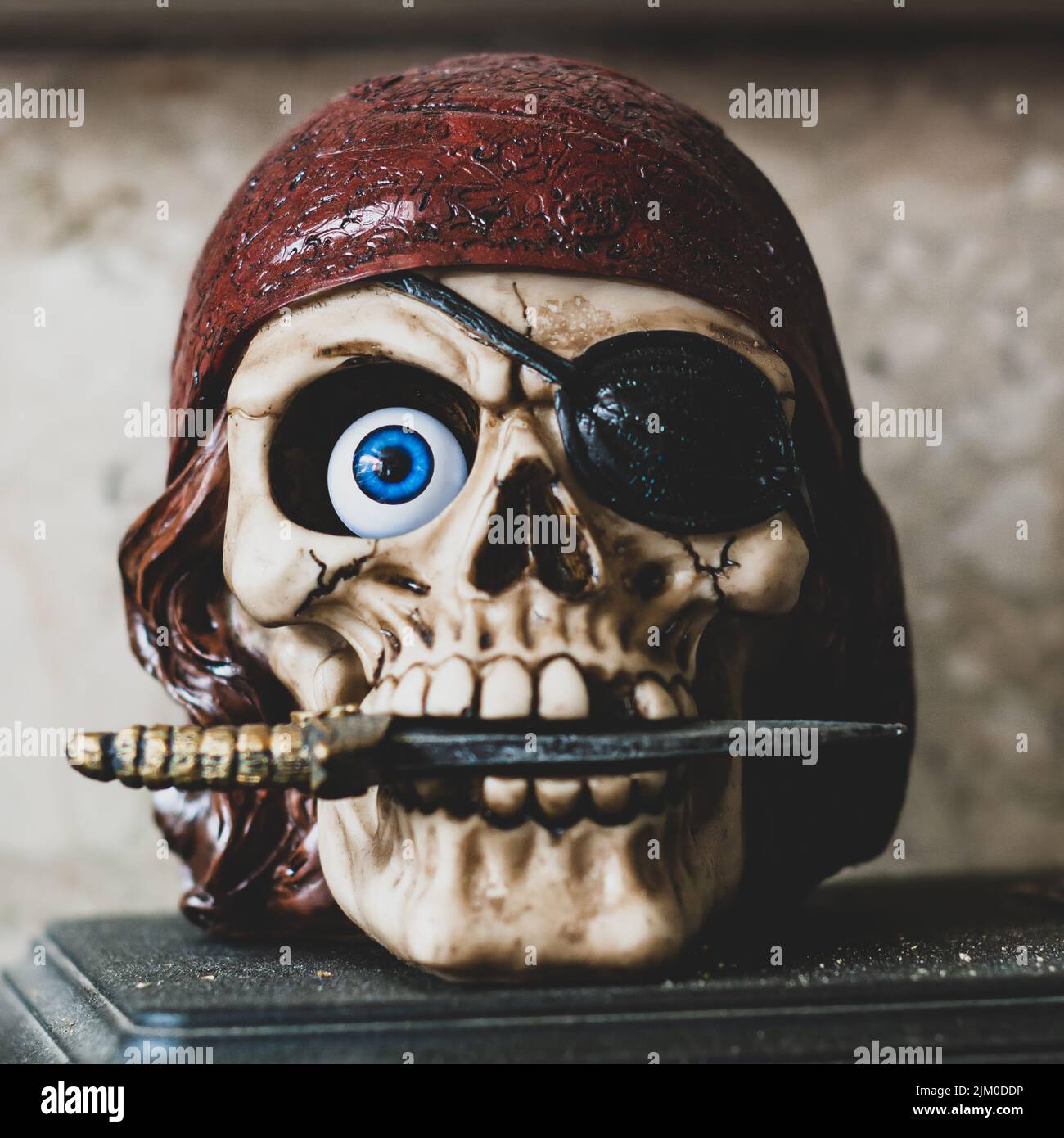 A closeup shot of a pirate skull figure with a knife in its mouth Stock Photo