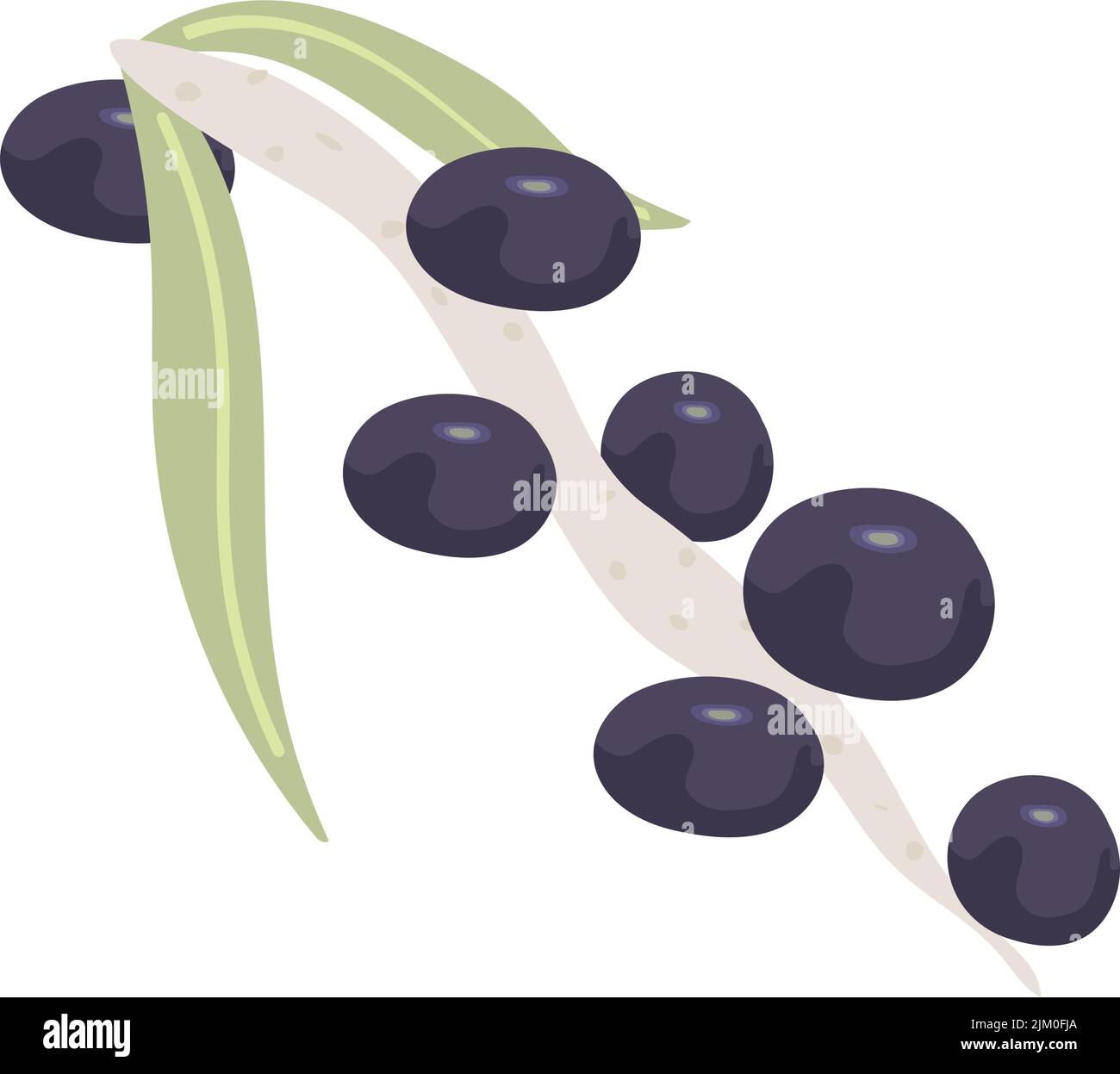 acai nature icon Stock Vector Image & Art - Alamy
