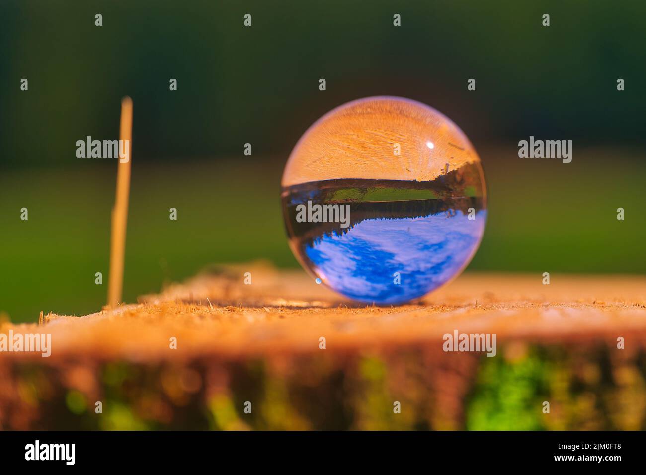 A closeup of a crystal ball with the reflection of the nature in the Thuringian Forest Stock Photo