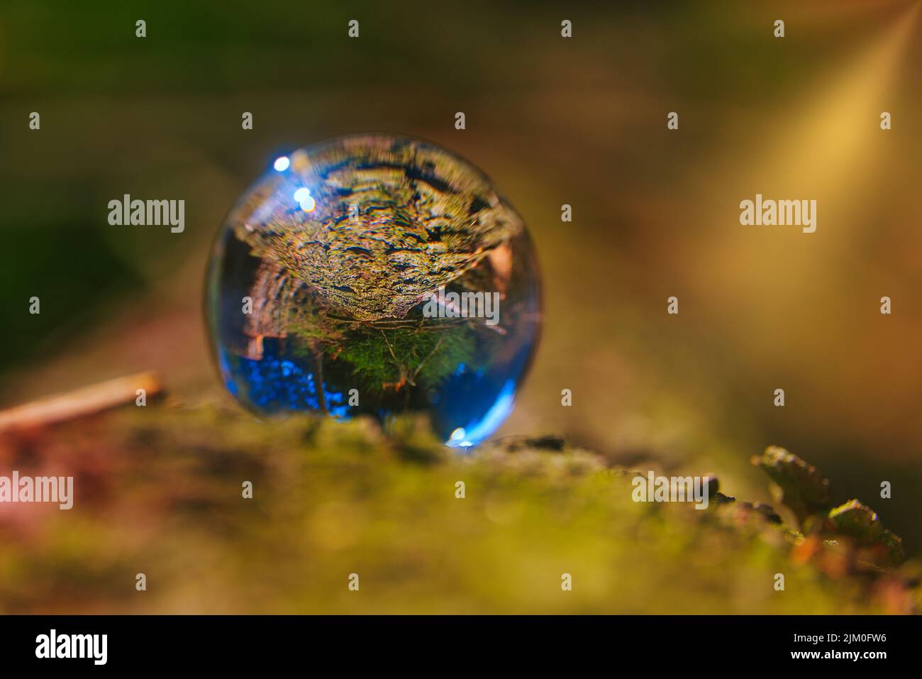 A closeup of a crystal ball with the reflection of the nature in the Thuringian Forest Stock Photo