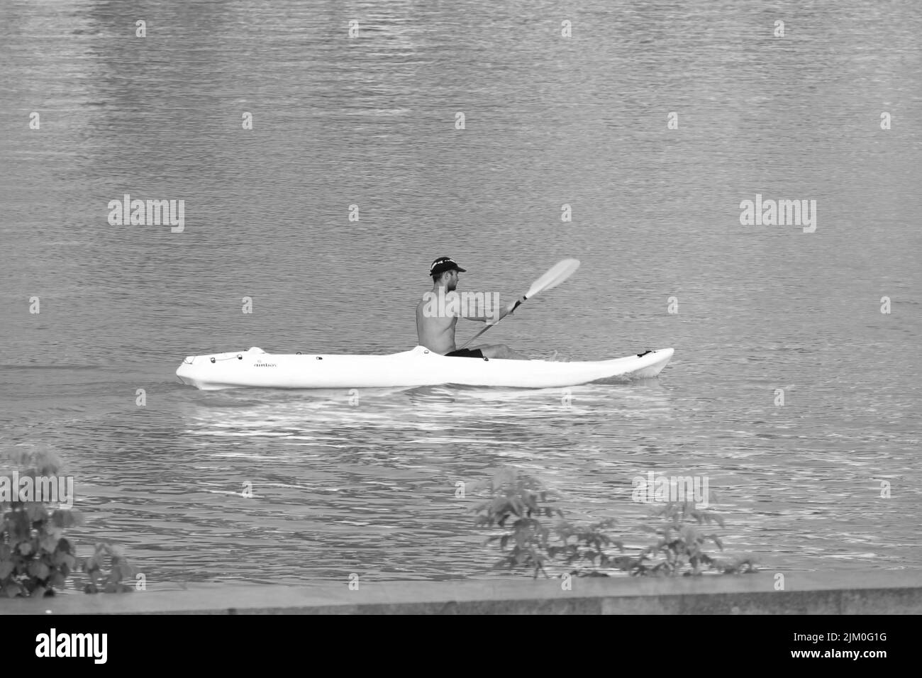 black and white photography of young man canoeig in the waters of Belgrade rivers, Serbia Stock Photo