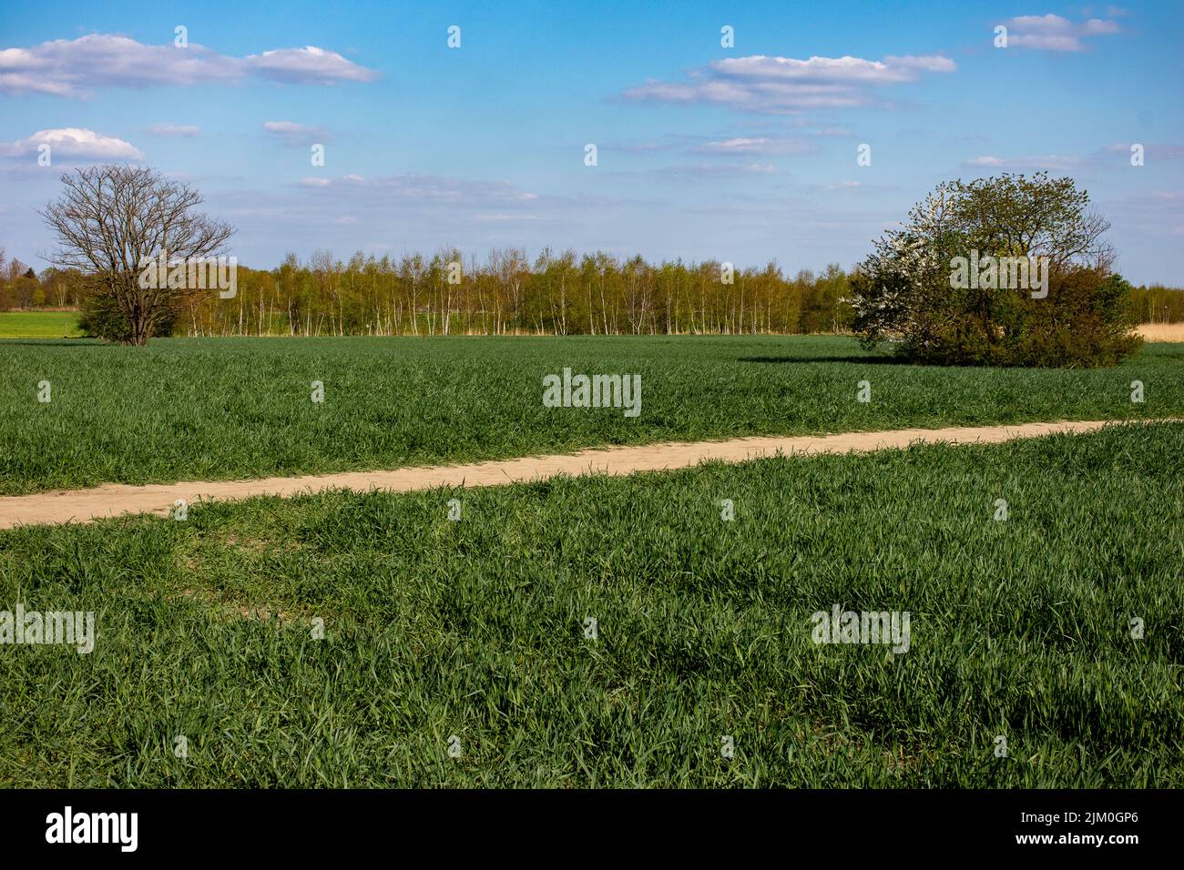 A suburb of Gropiusstadt locality in Berlin Stock Photo