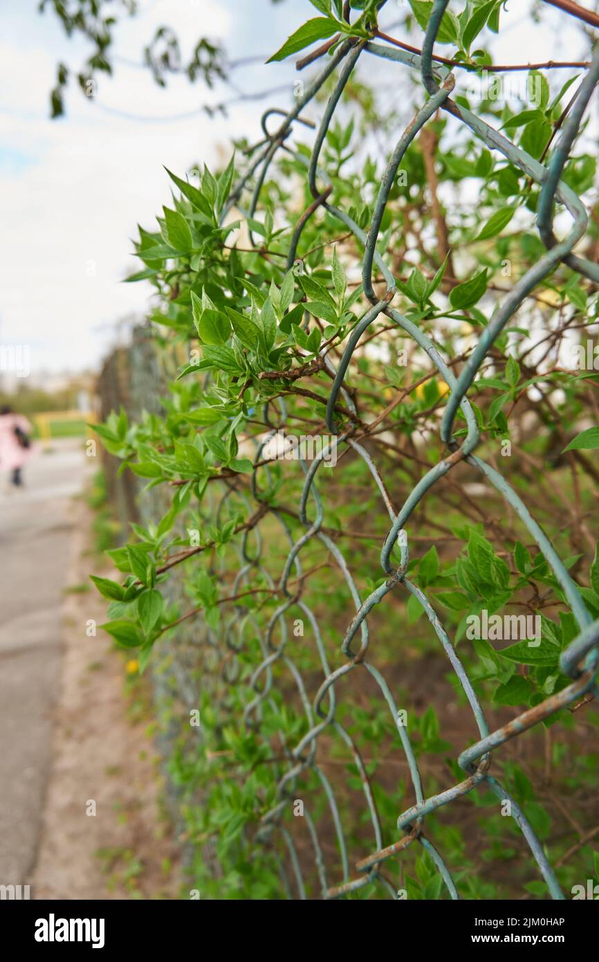 A vertical shot of a gray metal fence texture Stock Photo - Alamy