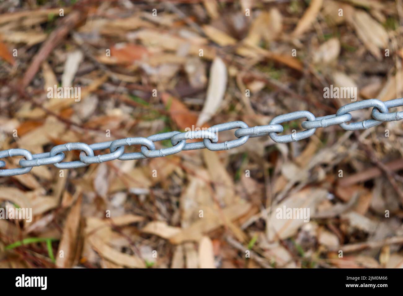 chain link barrier fence against soft background of gum leaves Stock