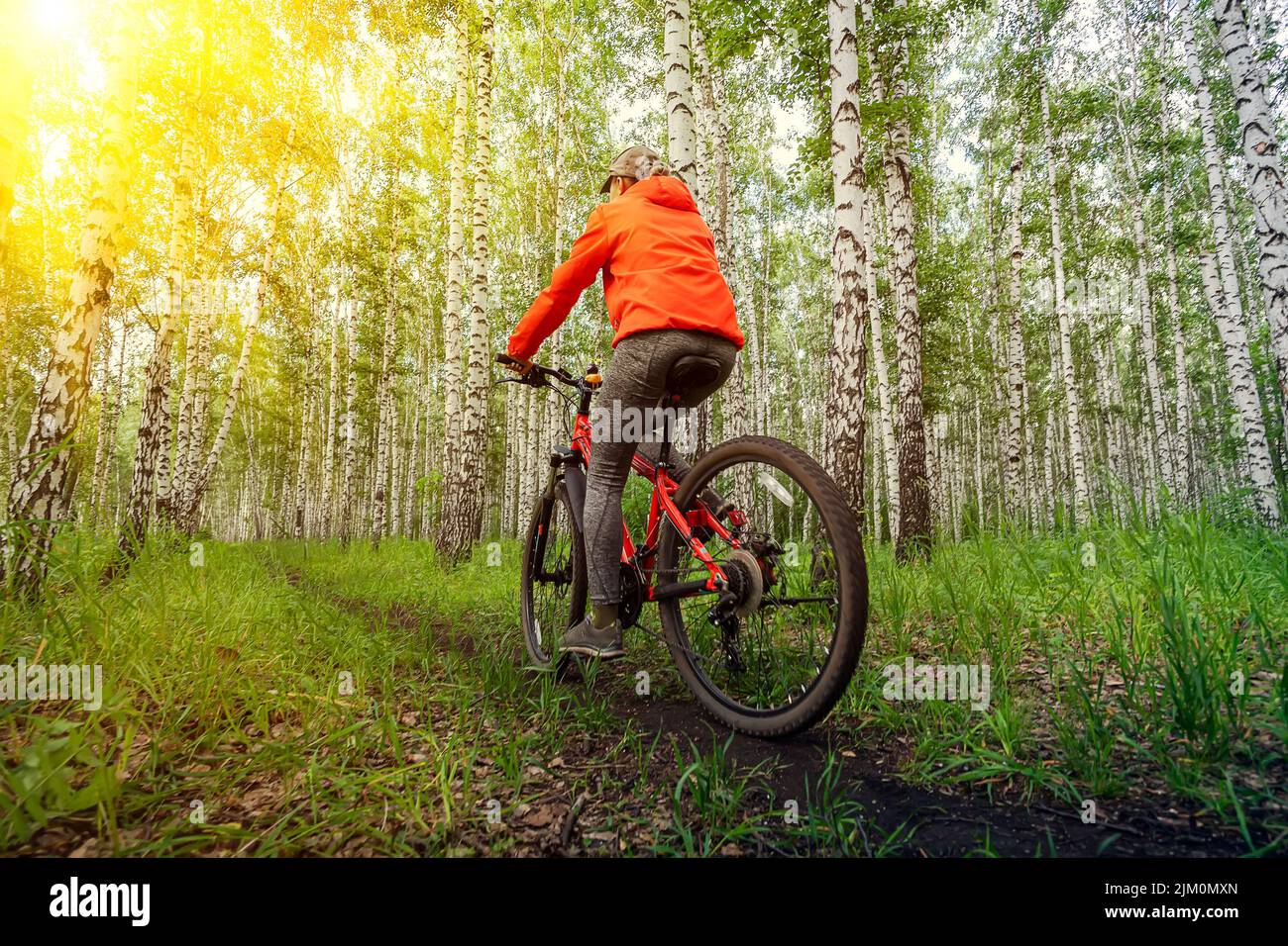 Woman in a bright orange jacket riding bike on mountain top forest trail Stock Photo