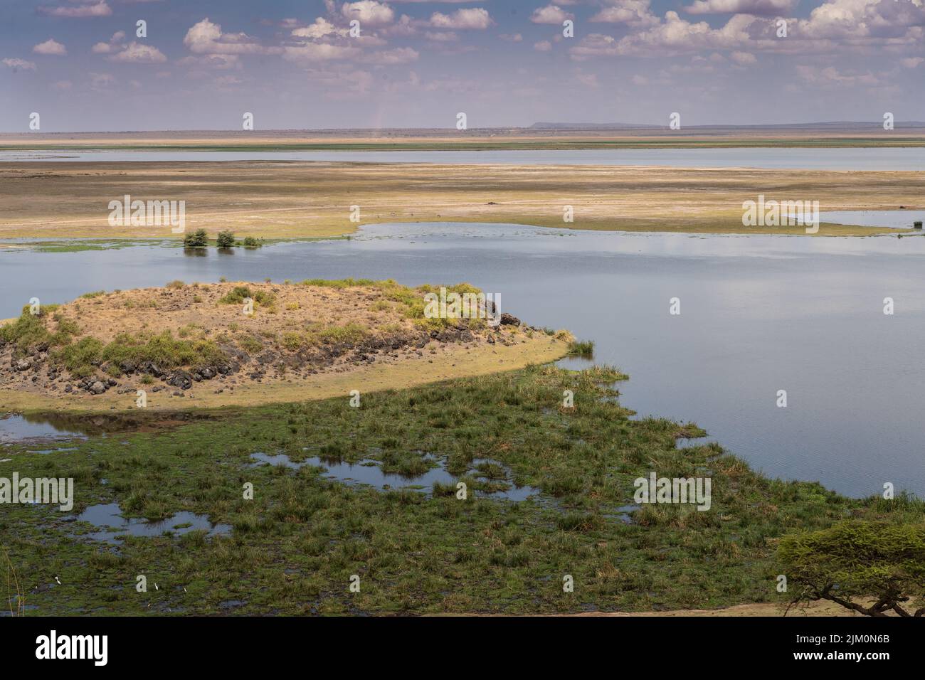 Amboseli National Park, Kenya, Africa Stock Photo