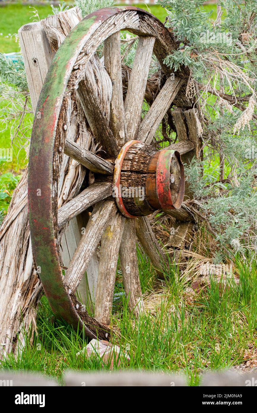 Old wagon wheel Stock Photo Alamy