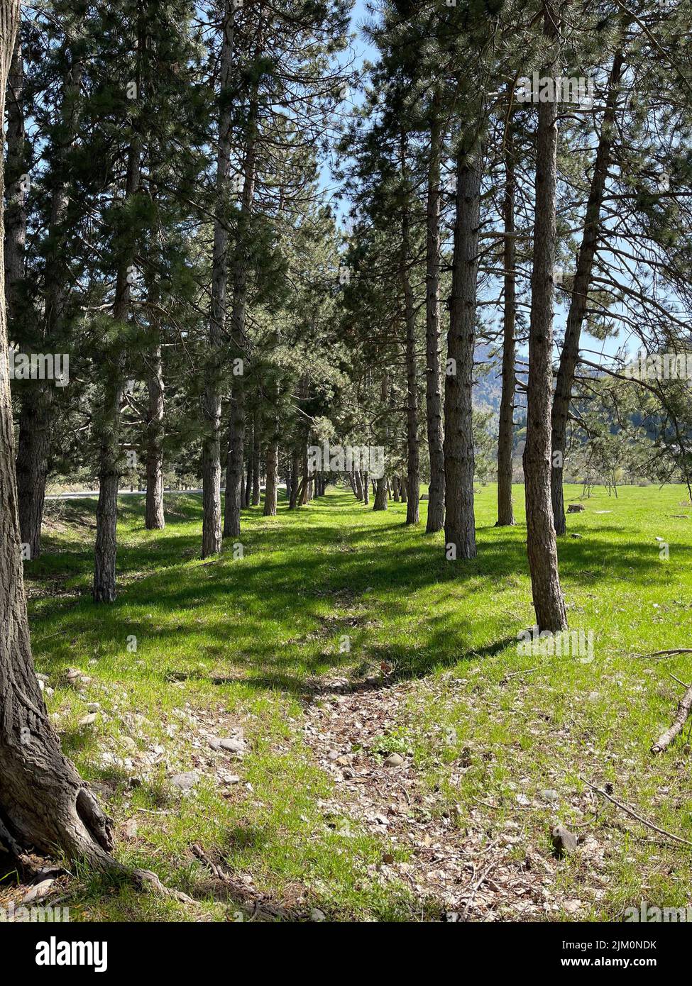 Vertical shot walkway through hi-res stock photography and images - Alamy