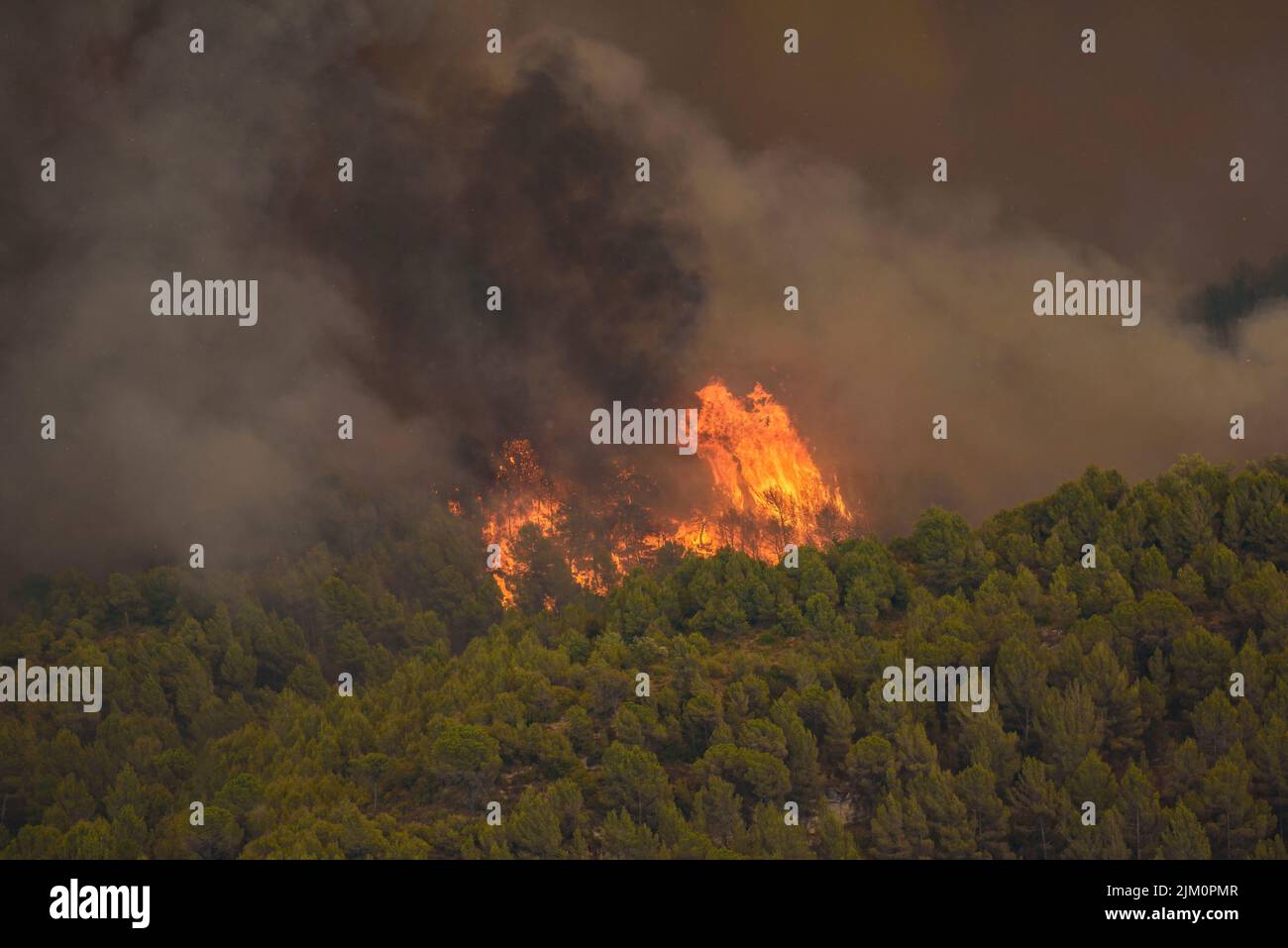 Wildfire of El Pont de Vilomara, on July 17, 2022, which burned 1,743 hectares of vegetation (Bages, Barcelona, Catalonia, Spain) Stock Photo