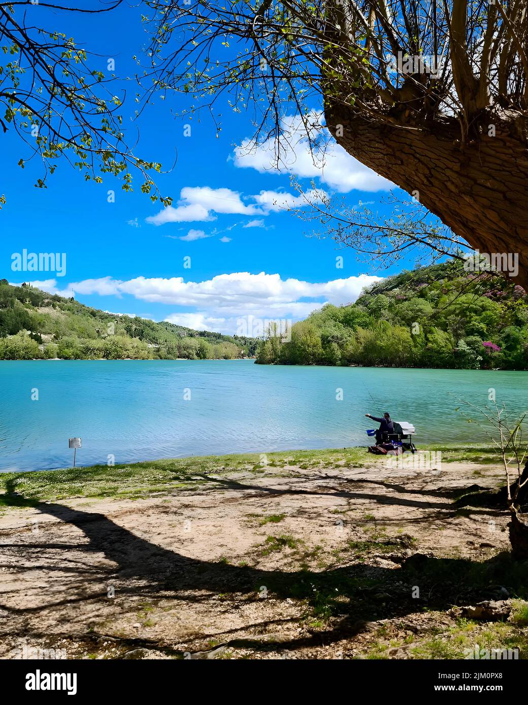 A vertical shot of the beautiful landscape with the lake and green ...