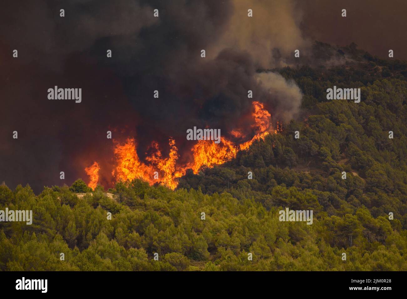 Wildfire of El Pont de Vilomara, on July 17, 2022, which burned 1,743 hectares of vegetation (Bages, Barcelona, Catalonia, Spain) Stock Photo