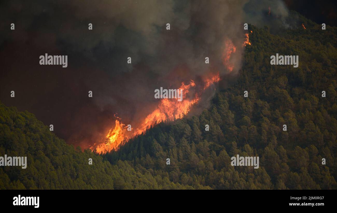 Wildfire of El Pont de Vilomara, on July 17, 2022, which burned 1,743 hectares of vegetation (Bages, Barcelona, Catalonia, Spain) Stock Photo