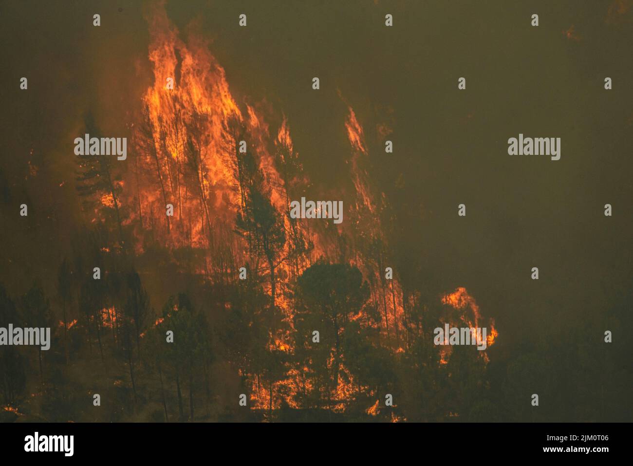 Wildfire of El Pont de Vilomara, on July 17, 2022, which burned 1,743 hectares of vegetation (Bages, Barcelona, Catalonia, Spain) Stock Photo