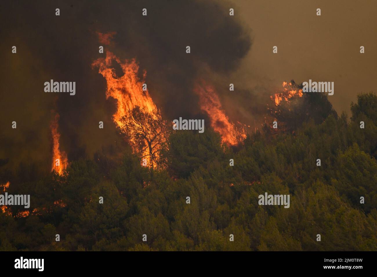 Wildfire of El Pont de Vilomara, on July 17, 2022, which burned 1,743 hectares of vegetation (Bages, Barcelona, Catalonia, Spain) Stock Photo