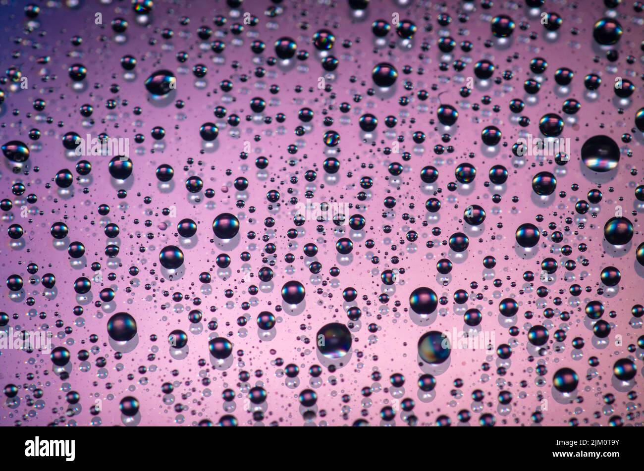 A macro shot of water droplets on a purple surface Stock Photo - Alamy