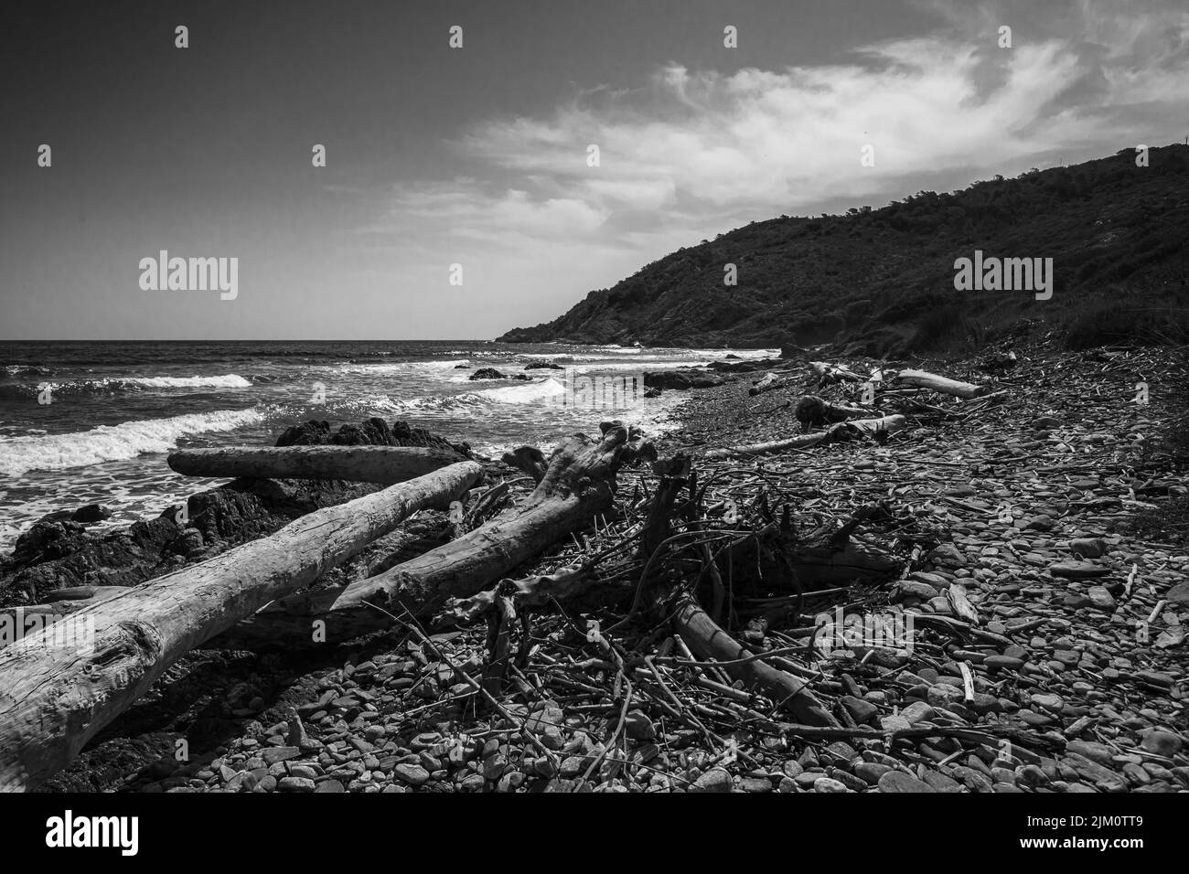A grayscale shot of driftwood on the beach by the sea in Ramatuelle, France Stock Photo