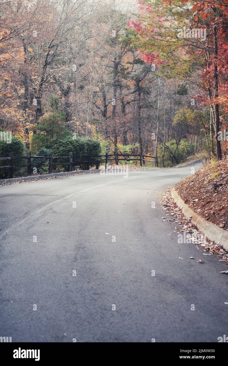 Vertical shot pathway leaves hi-res stock photography and images - Alamy