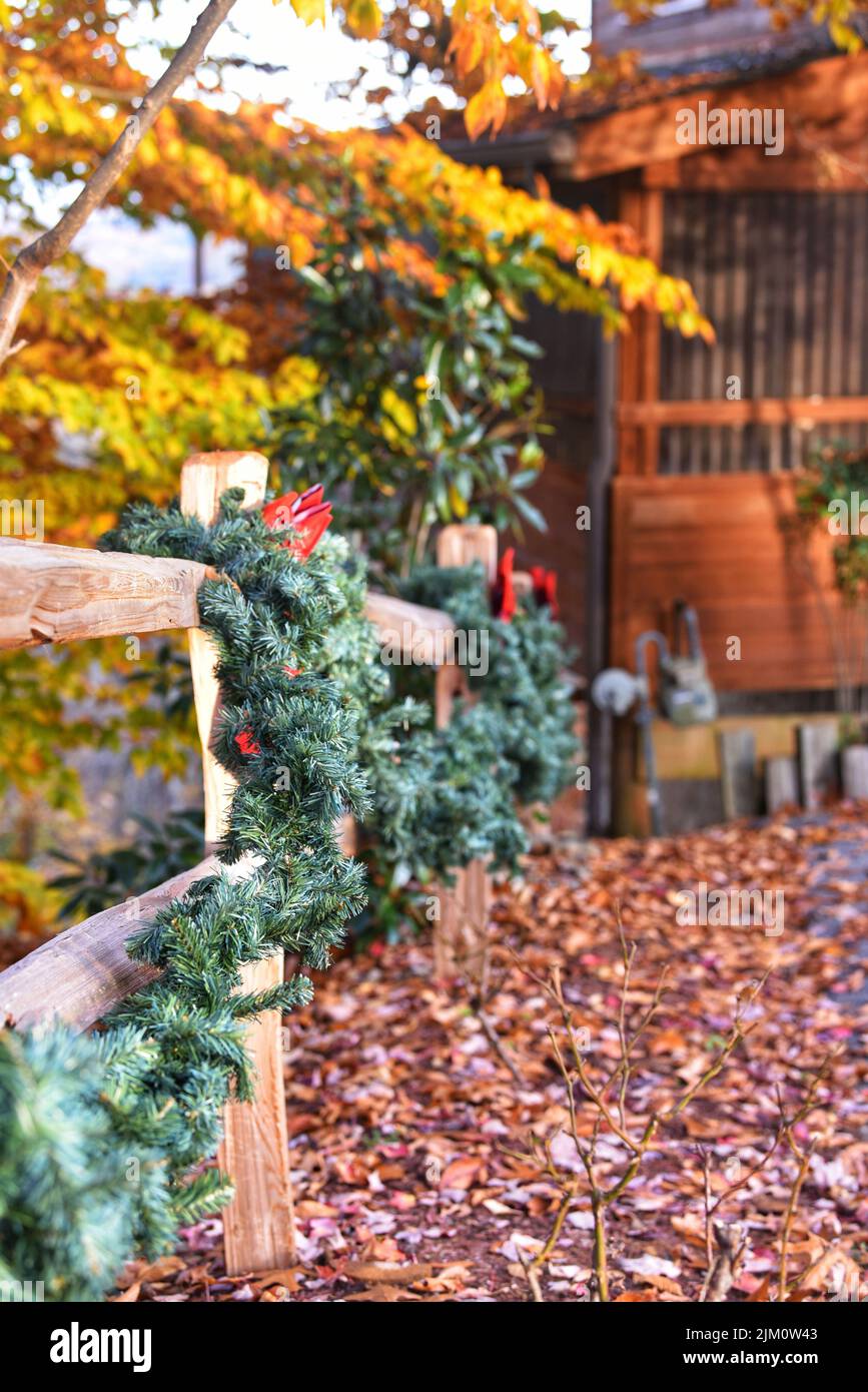 Vertical garden fence hi-res stock photography and images - Alamy