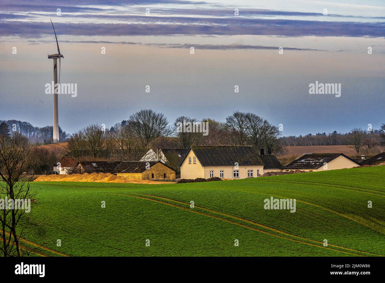 Agricultural landscape with cultivated fields, a group of farmhouses and a wind turbine. Assens, Fyn Island, Denmark, Europe Stock Photo