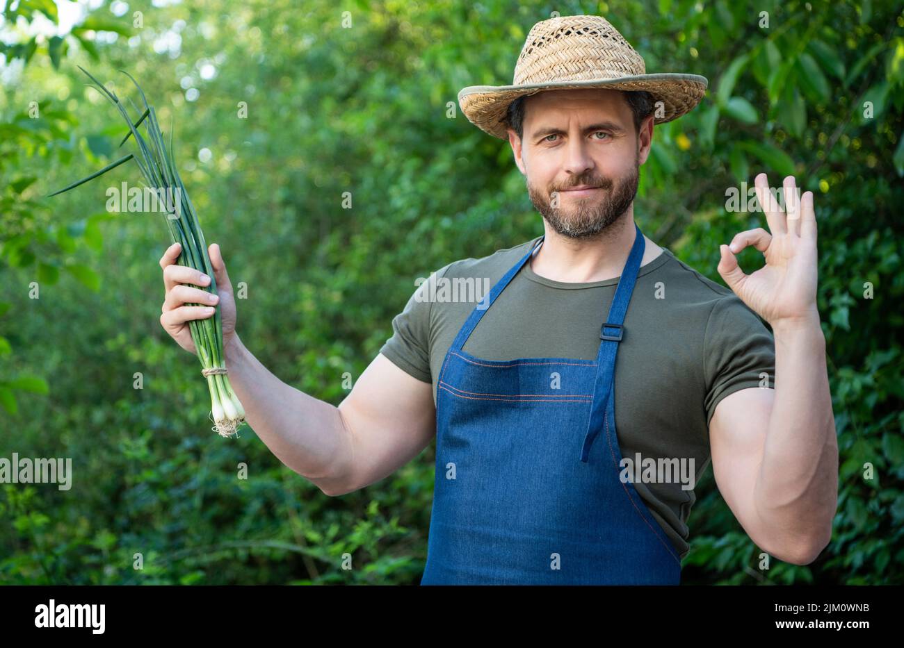 man greengrocer in straw hat with green onion vegetable. ok Stock Photo