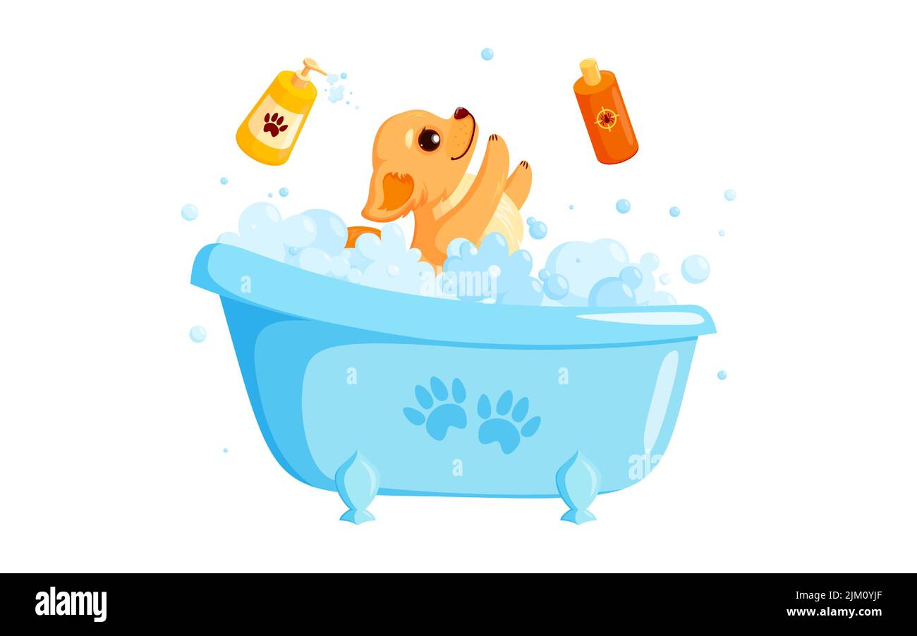 Dog grooming in a bath with pet shampoo. Playful chihuahua puppy in grooming service. Vector illustration in cute cartoon style Stock Vector