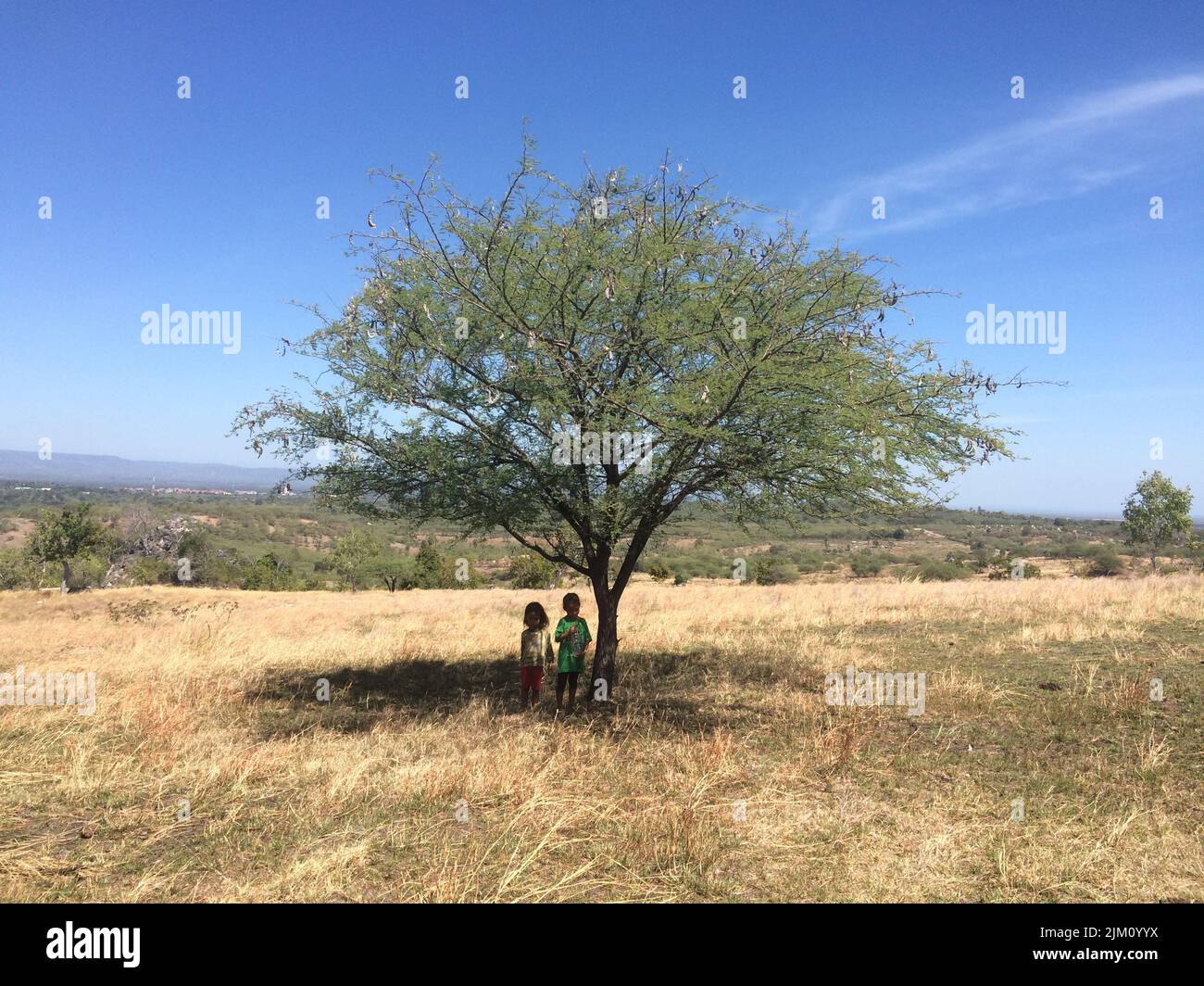 Boy tree shade hi-res stock photography and images - Alamy