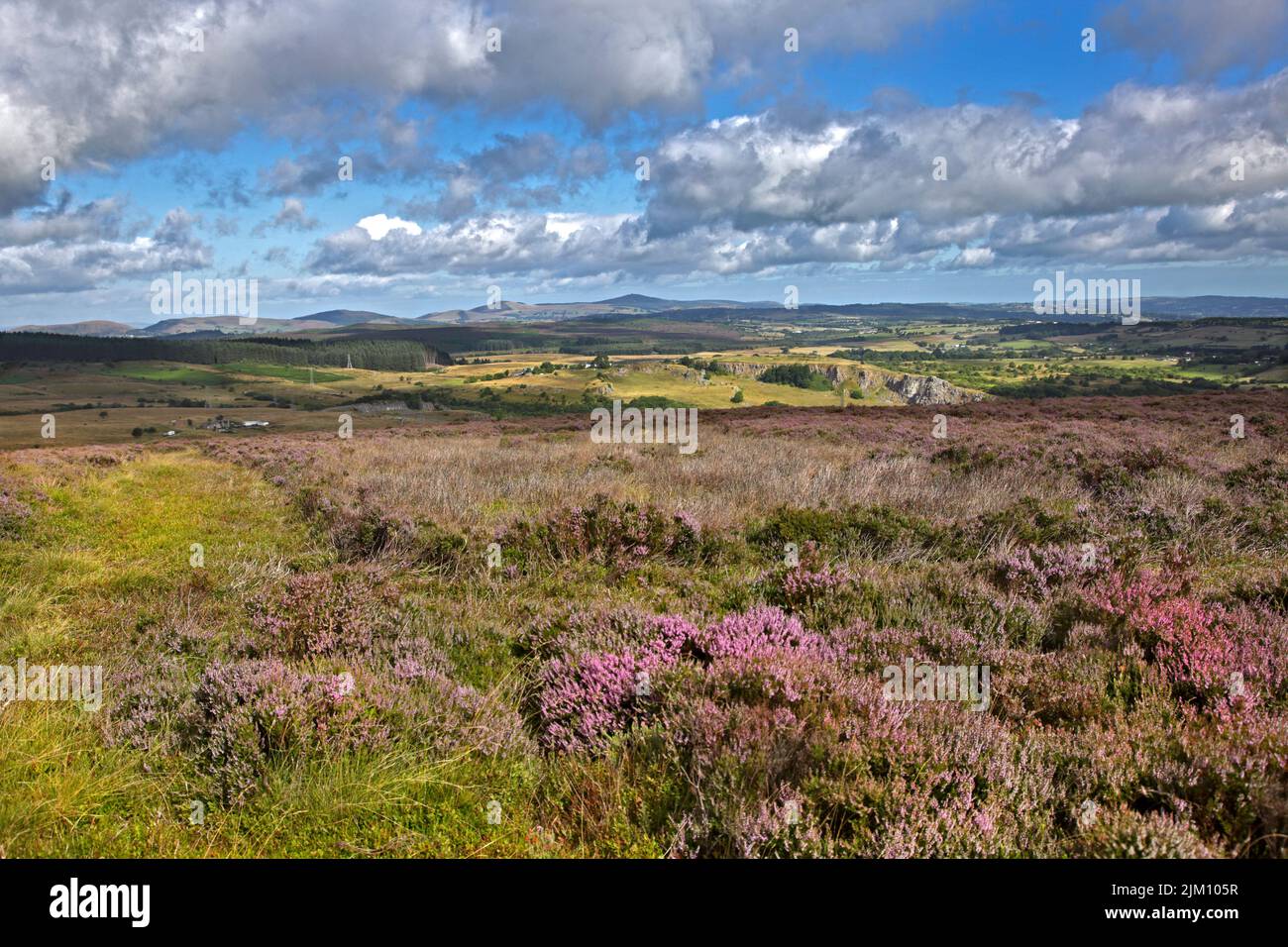 Views from Mount Minera, near Wrexham, Wales Stock Photo
