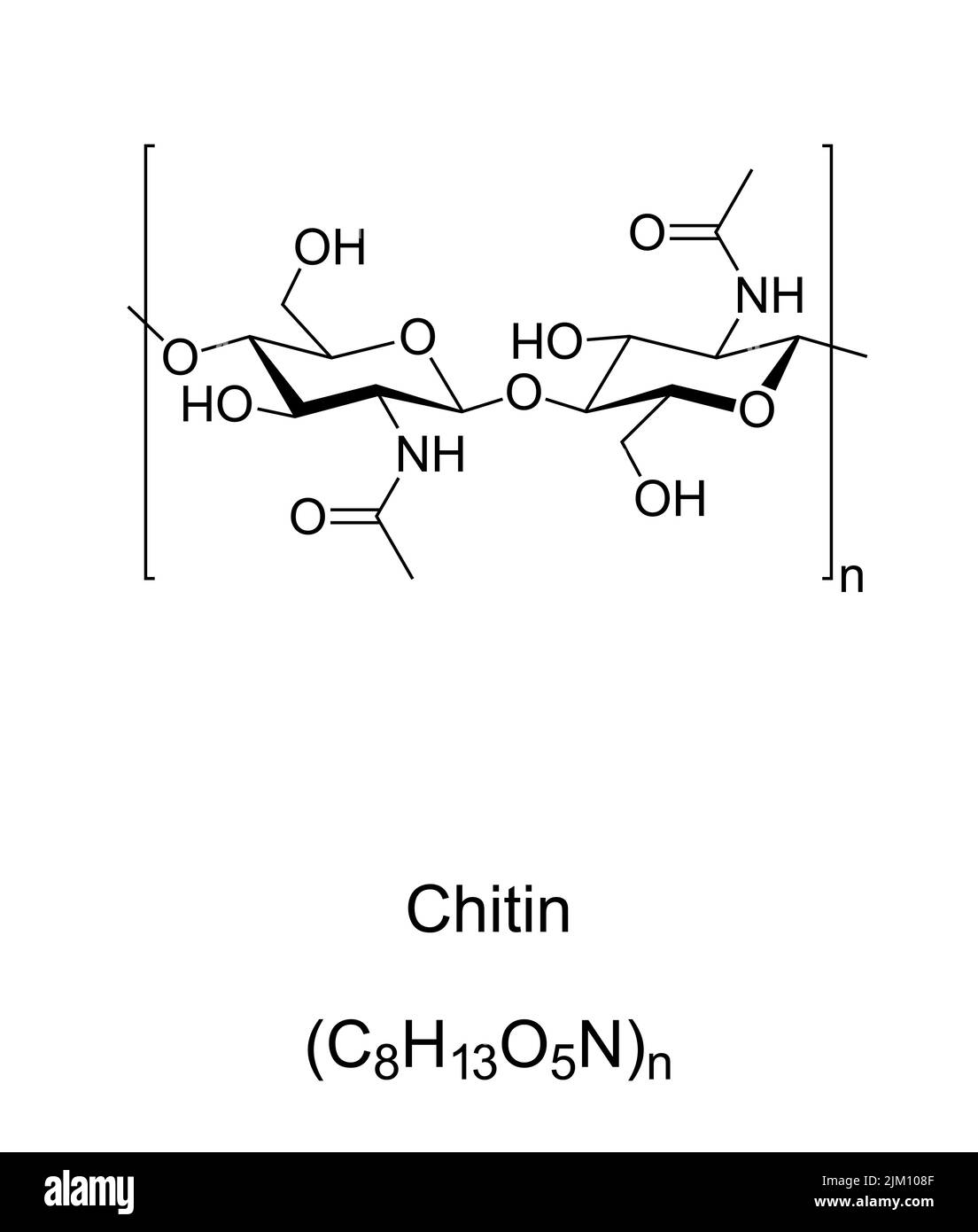Chitin, chemical formula and structure. Long chain polymer of N-acetylglucosamine. Polysaccharide. Component of cell walls in insect exoskeletons. Stock Photo