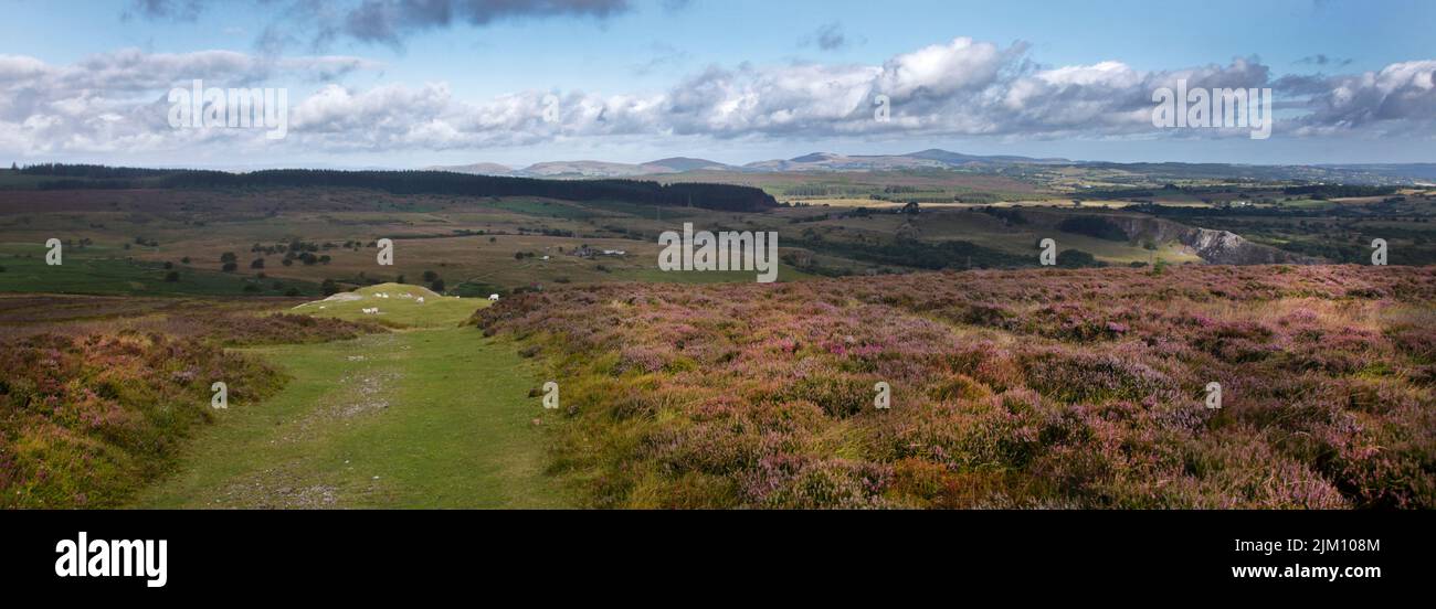 Views from Mount Minera, Clwydian Range, near Wrexham, Wales Stock Photo