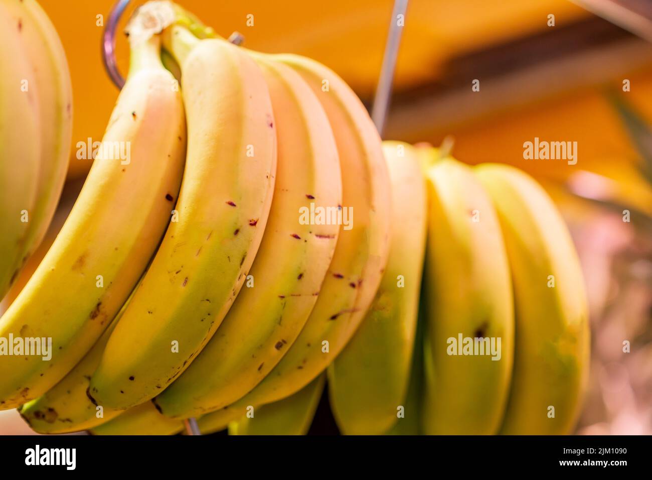 Banana bunch from the Canary Islands Stock Photo Alamy