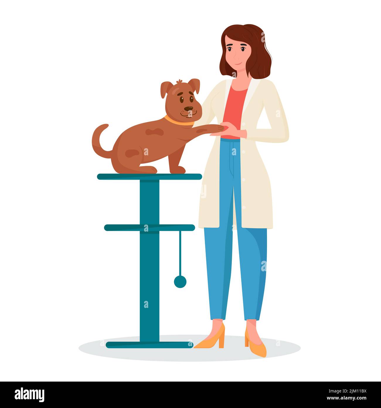 Veterinary doctor appointment. A female veterinarian treats a dog. Pet