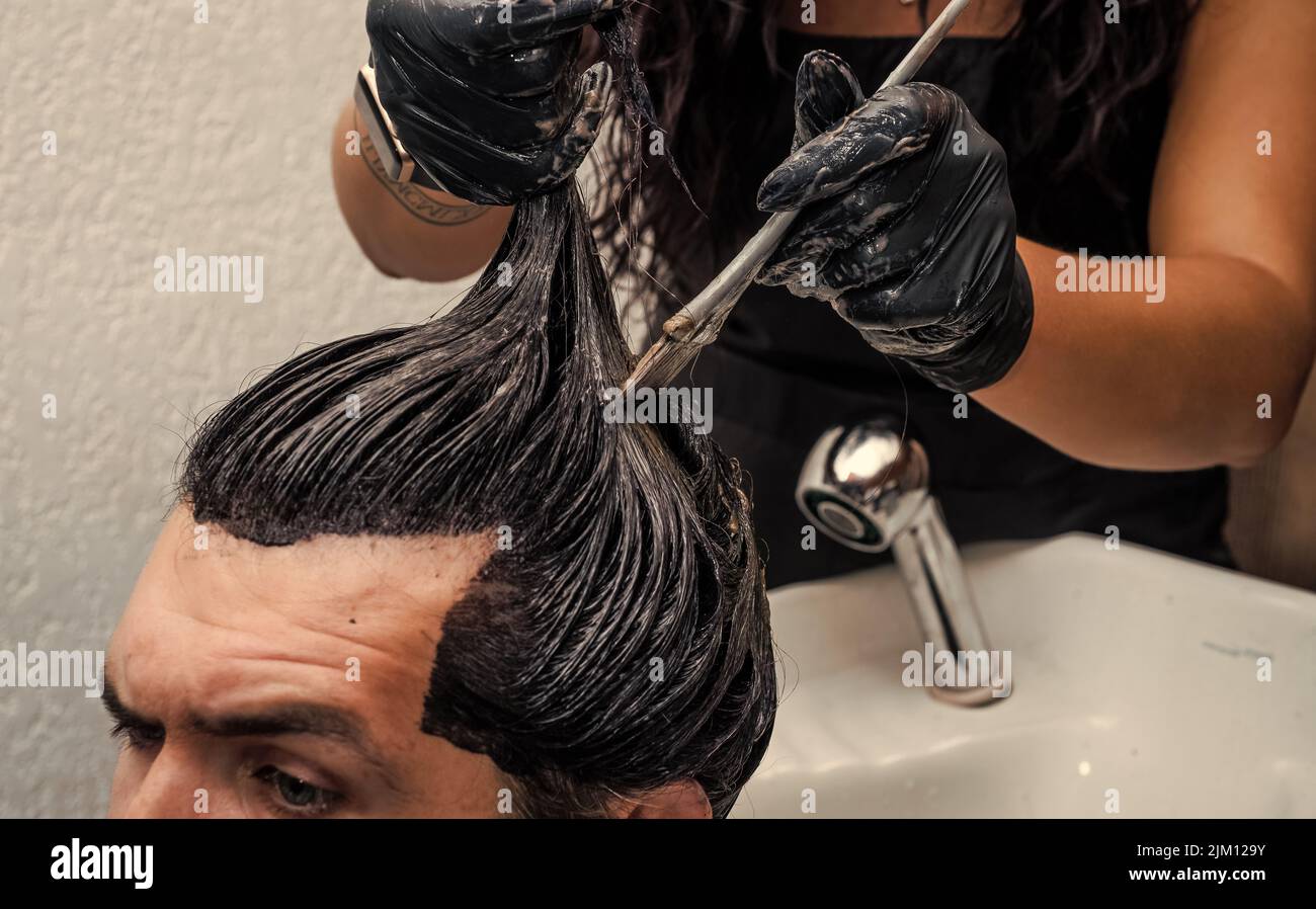 dye hair in barbershop of brutal mature client man, hairdresser Stock Photo