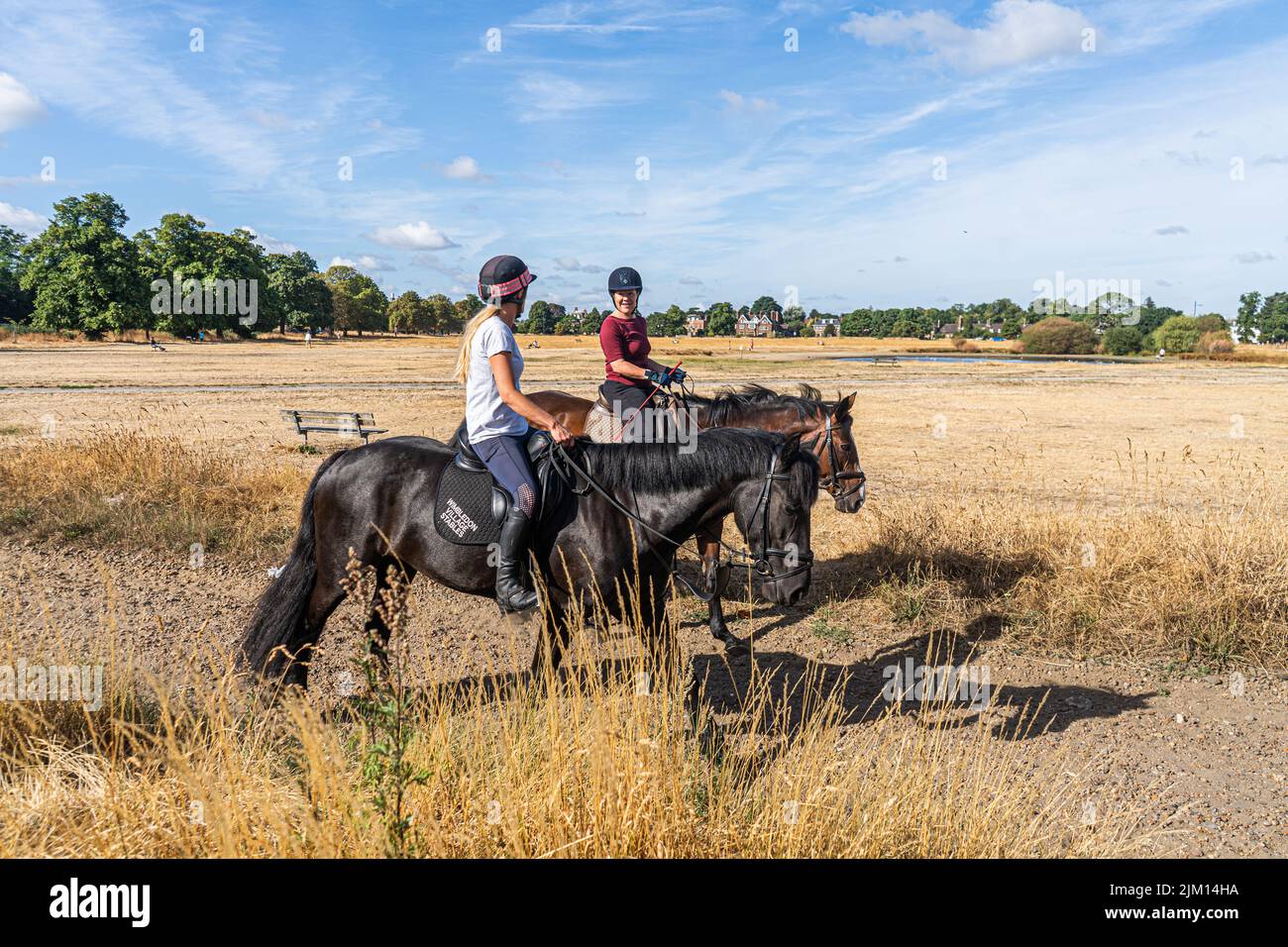 London, UK 4 August 2022.  Horse riders  in the bright morning sunshine  on Wimbledon Common, south west London  looking parched  and barren  due to the effect of the dry conditions  and extreme heat .  Water supplies have come under pressure after record breaking temperatures hit 40.3c last month and a drought warning has been declared after the hottest  july was recorded  and the south east of England  saw an average of 5mm of rain Credit. amer ghazzal/Alamy Live News Stock Photo