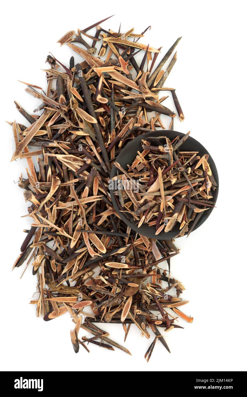 Honey locust thorn herb used in Chinese herbal plant medicine to treat