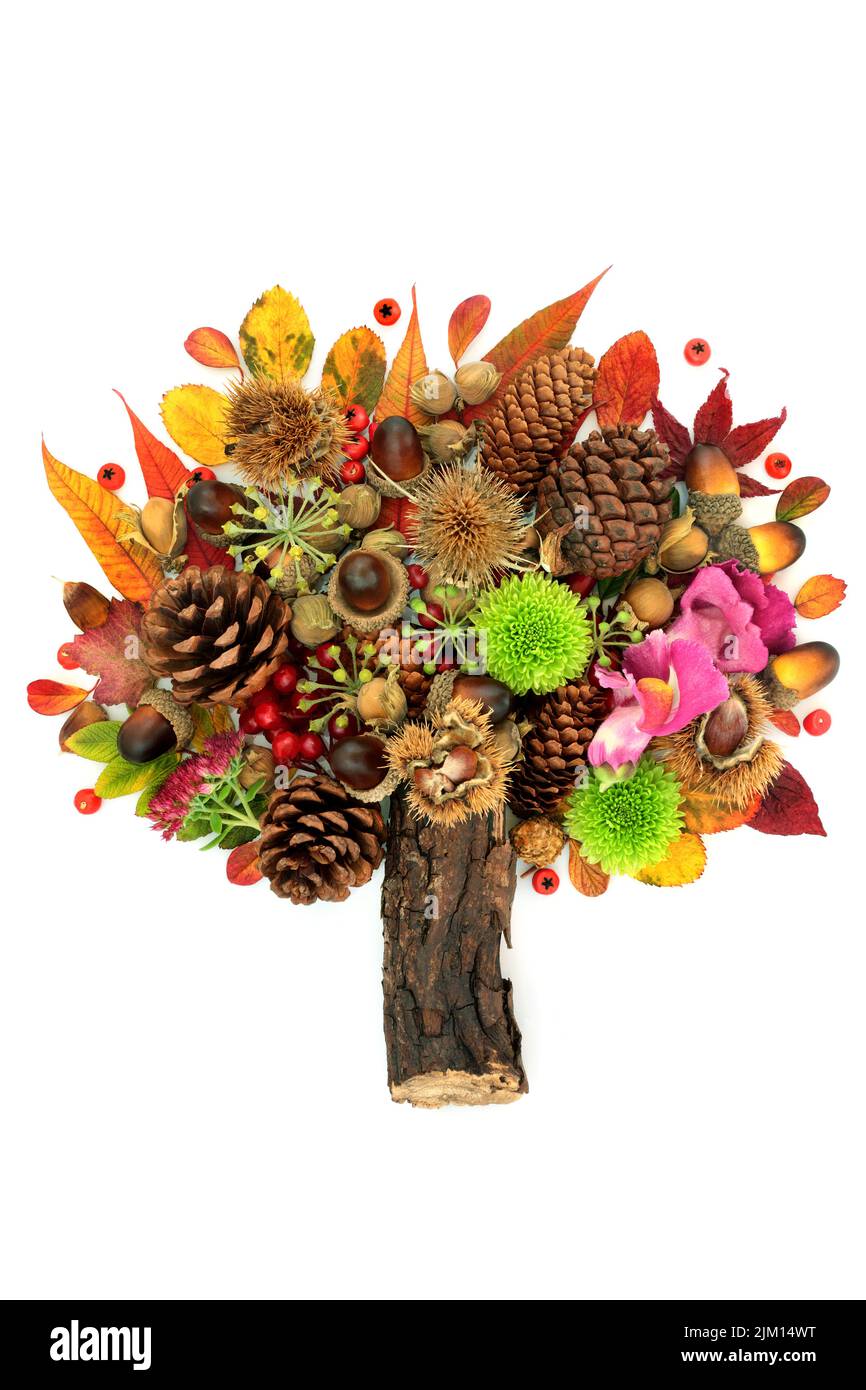 Abstract tree design for Autumn and Thanksgiving with leaves, flowers, berry fruit, nuts. Surreal nature Fall composition with natural flora. On white Stock Photo