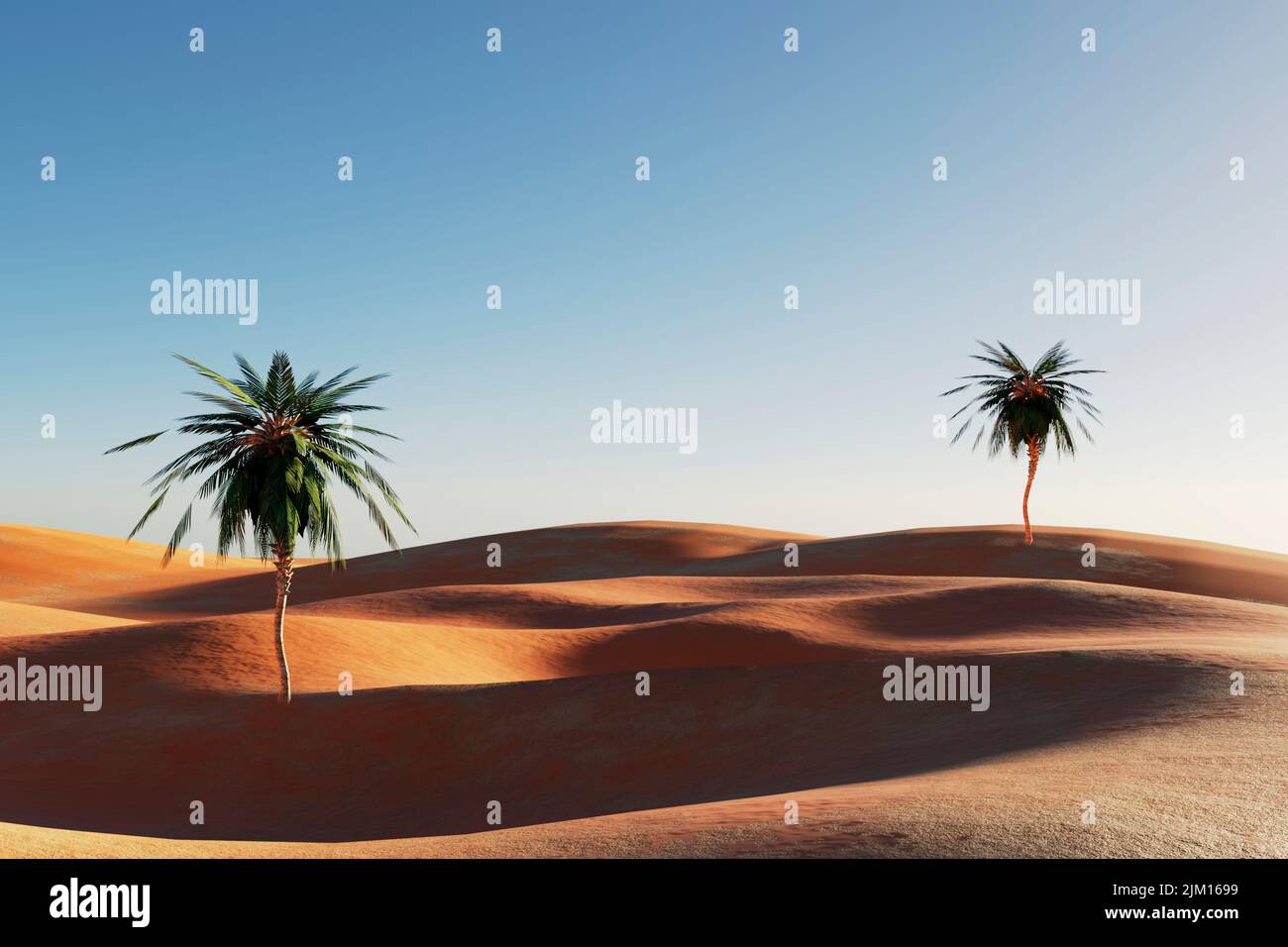 3d landscape palm trees hi-res stock photography and images - Alamy