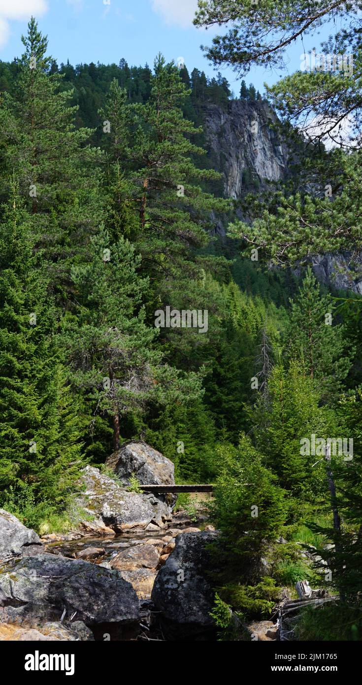 Beautiful norwegian landscape with small bridge with background of green forrest and high blue mountains behind tall trees Stock Photo