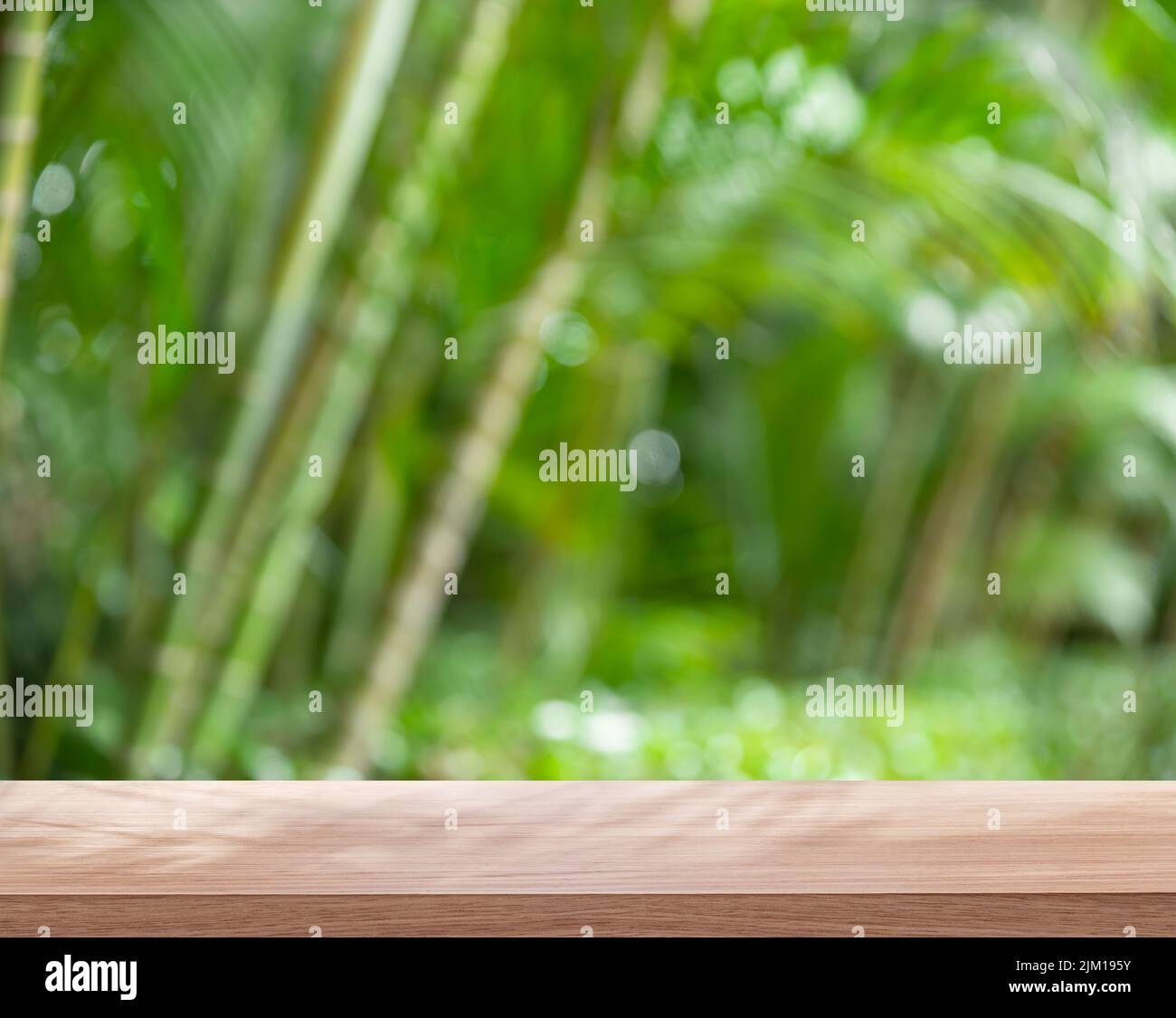 Empty board or table top and blurred green bamboo culms. Place for your product display. Stock Photo