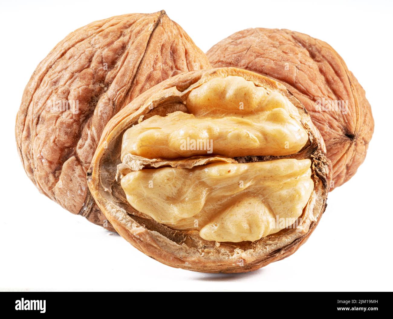 Walnuts and opened walnut with fresh kernel isolated on white background. Stock Photo