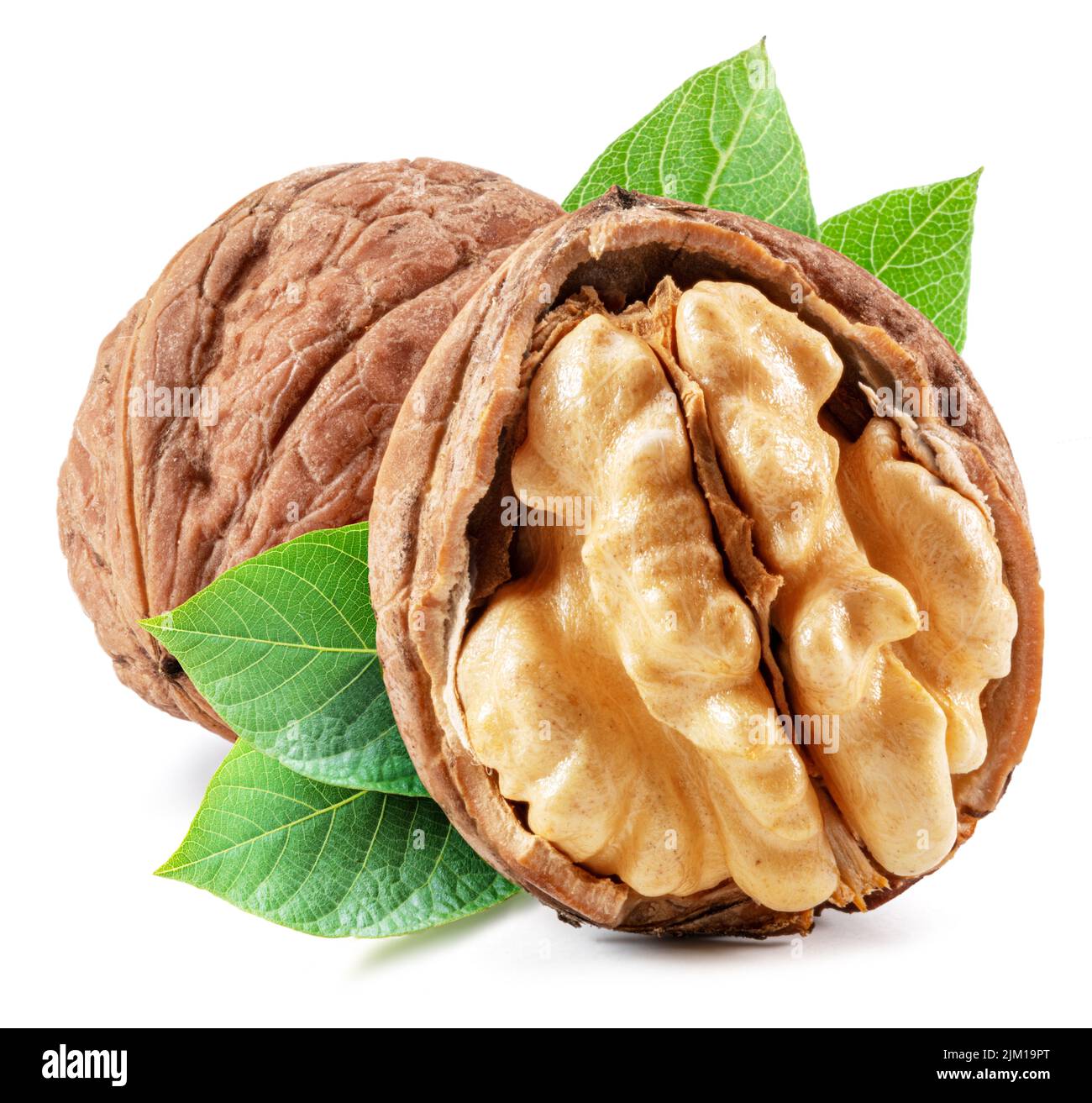 Walnuts, walnut kernel and green leaves isolated on white background. Stock Photo