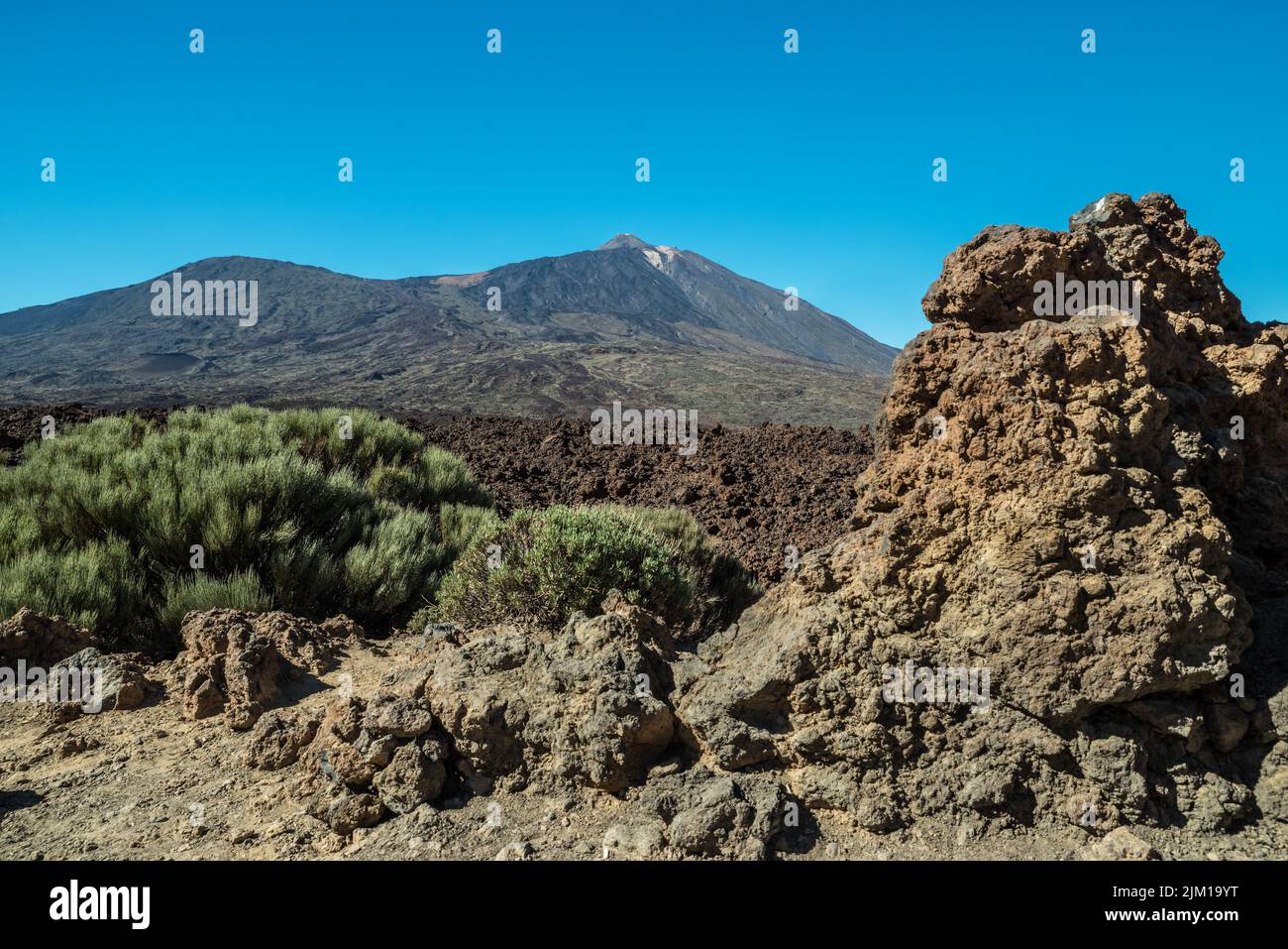 Unique landscape of Teide National Park and view of Teide Volcano peak. Tenerife Island. Stock Photo