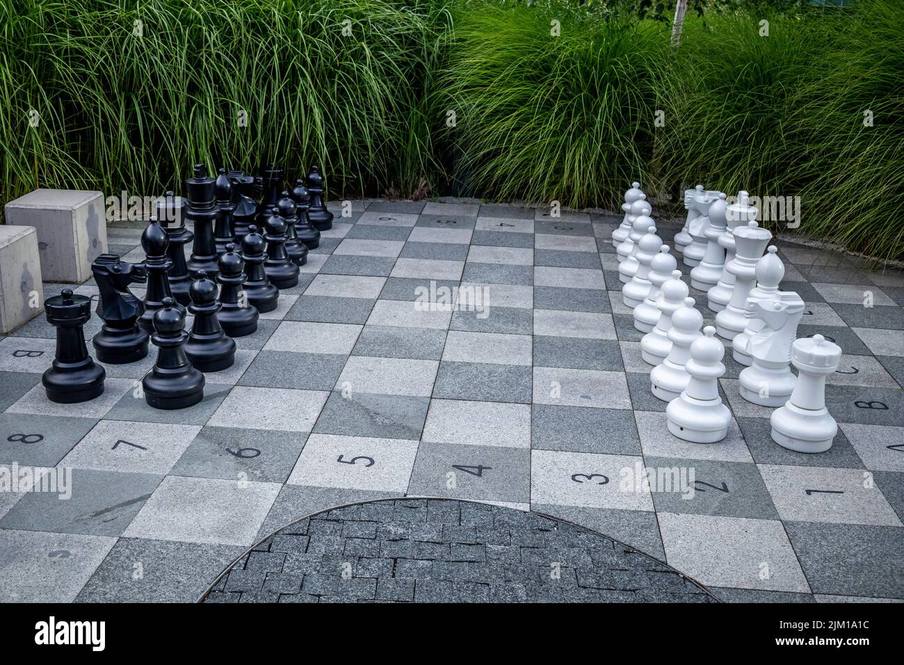 Chess Game in a Street Open Competition. Stock Image - Image of wood,  challenge: 279429957